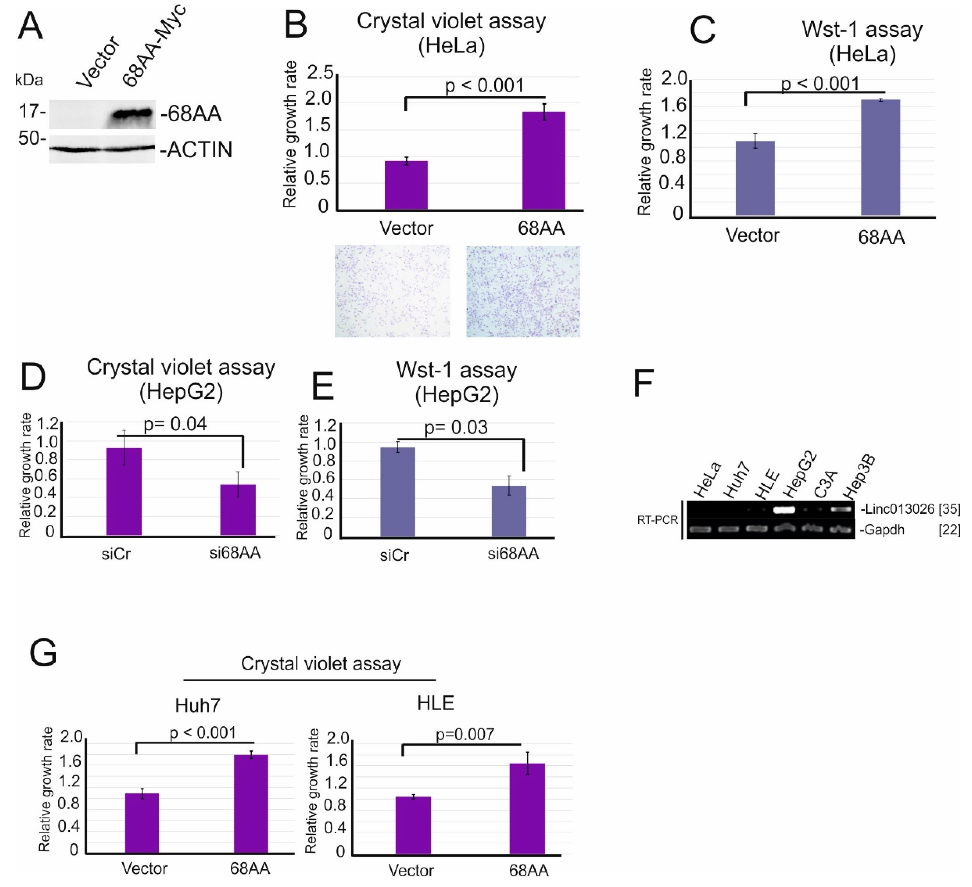 Ijms 23 00058 g004 Ijms 23 00058 g004