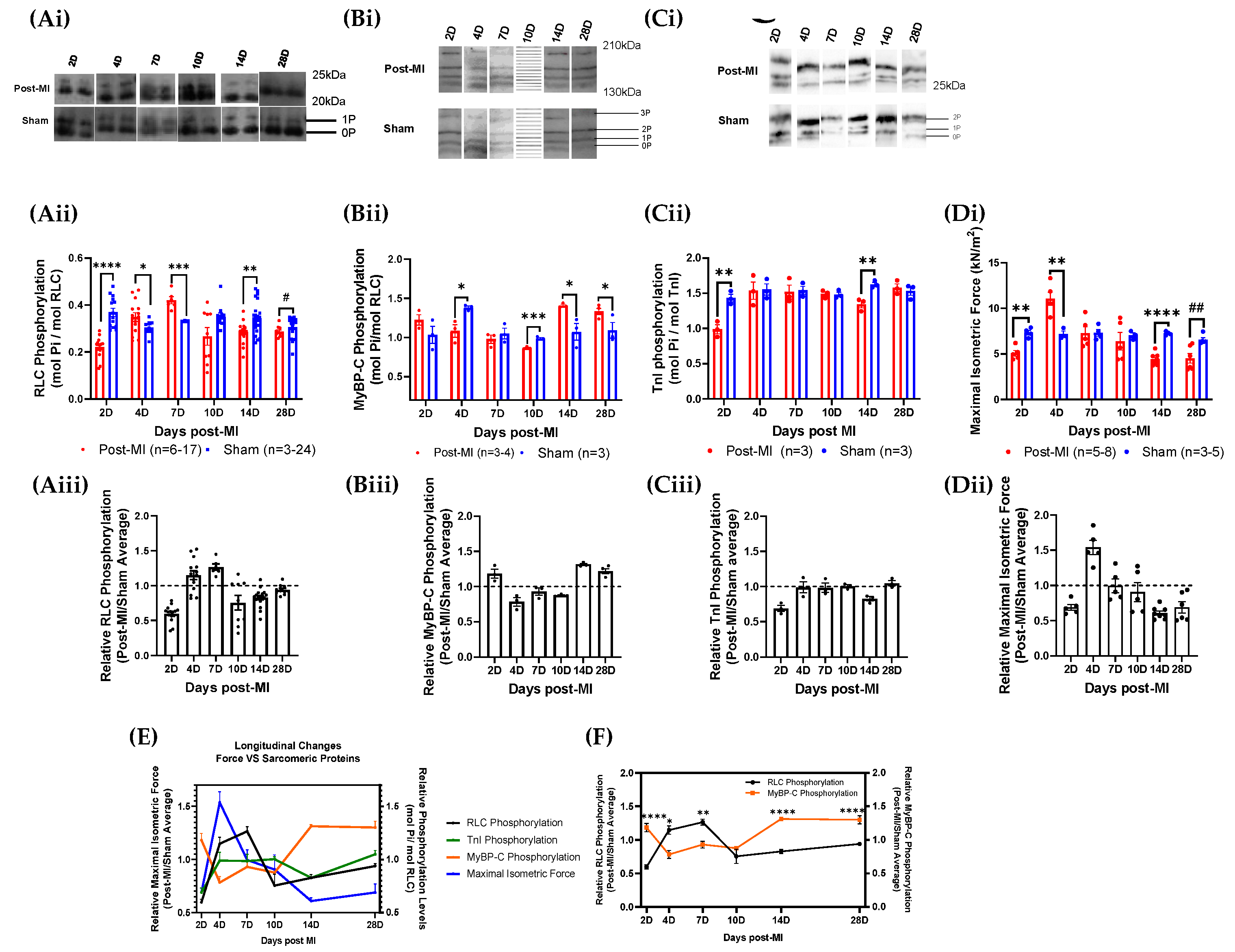Ijms 23 00088 g004 Ijms 23 00088 g004