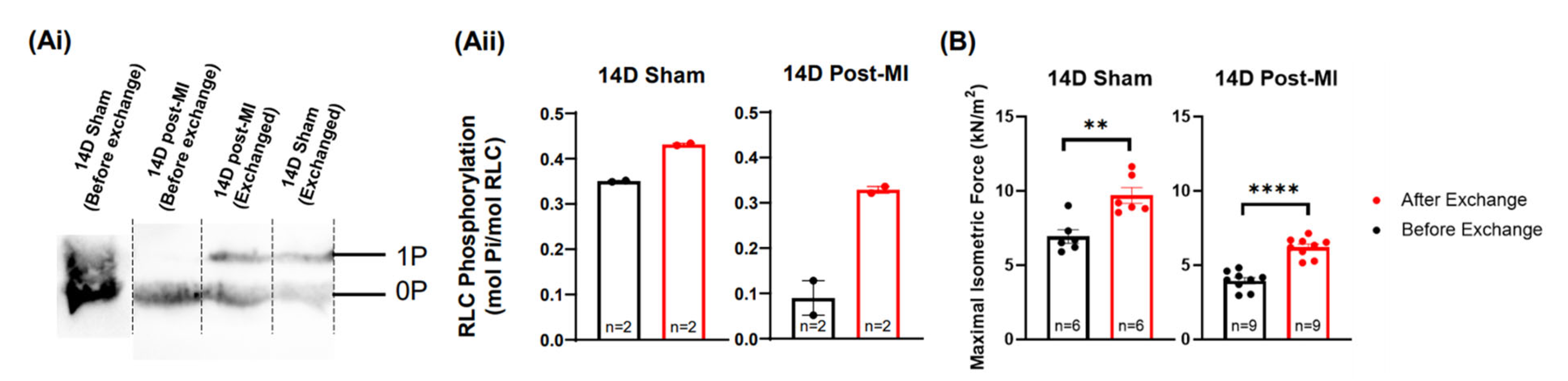 Ijms 23 00088 g005 Ijms 23 00088 g005