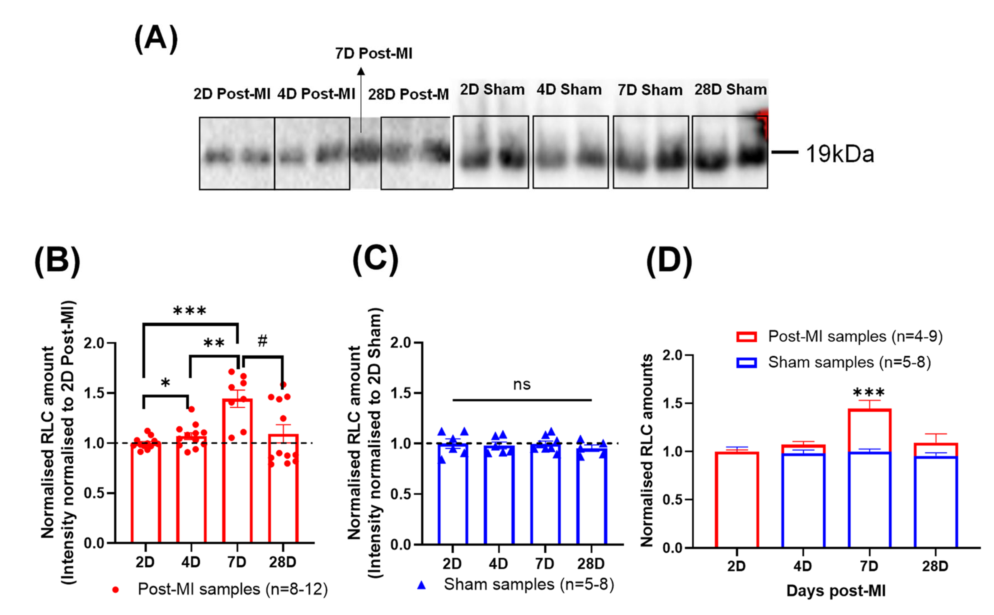 Ijms 23 00088 g007 Ijms 23 00088 g007
