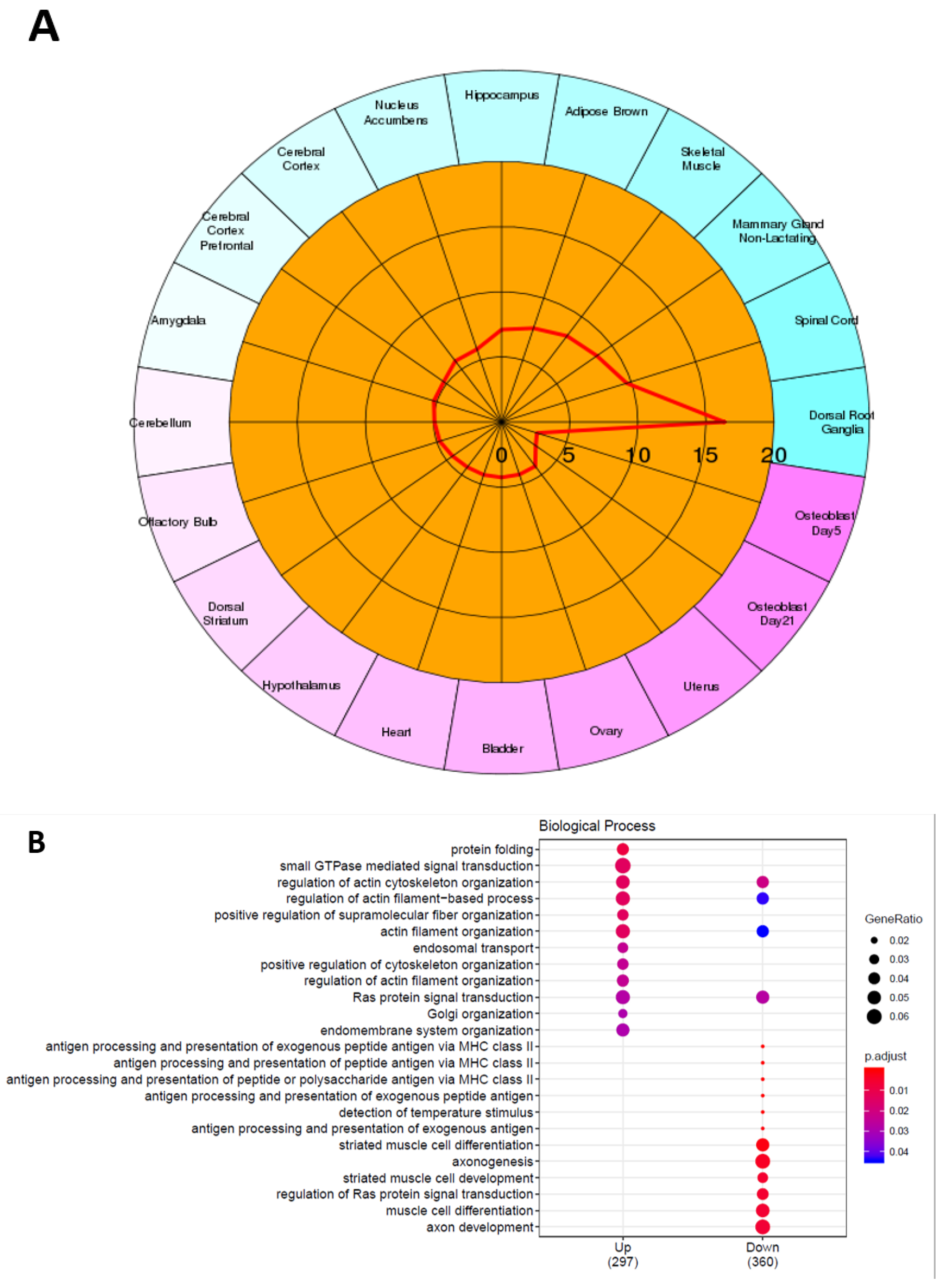 Ijms 23 00098 g002a Ijms 23 00098 g002a