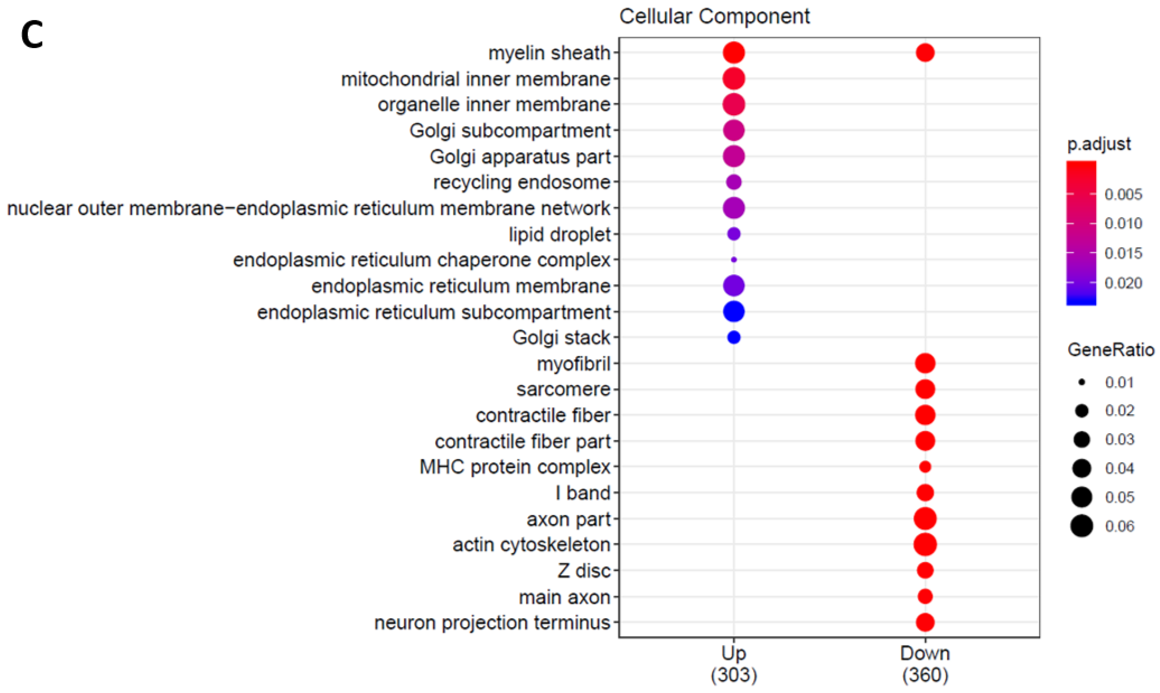 Ijms 23 00098 g002b Ijms 23 00098 g002b