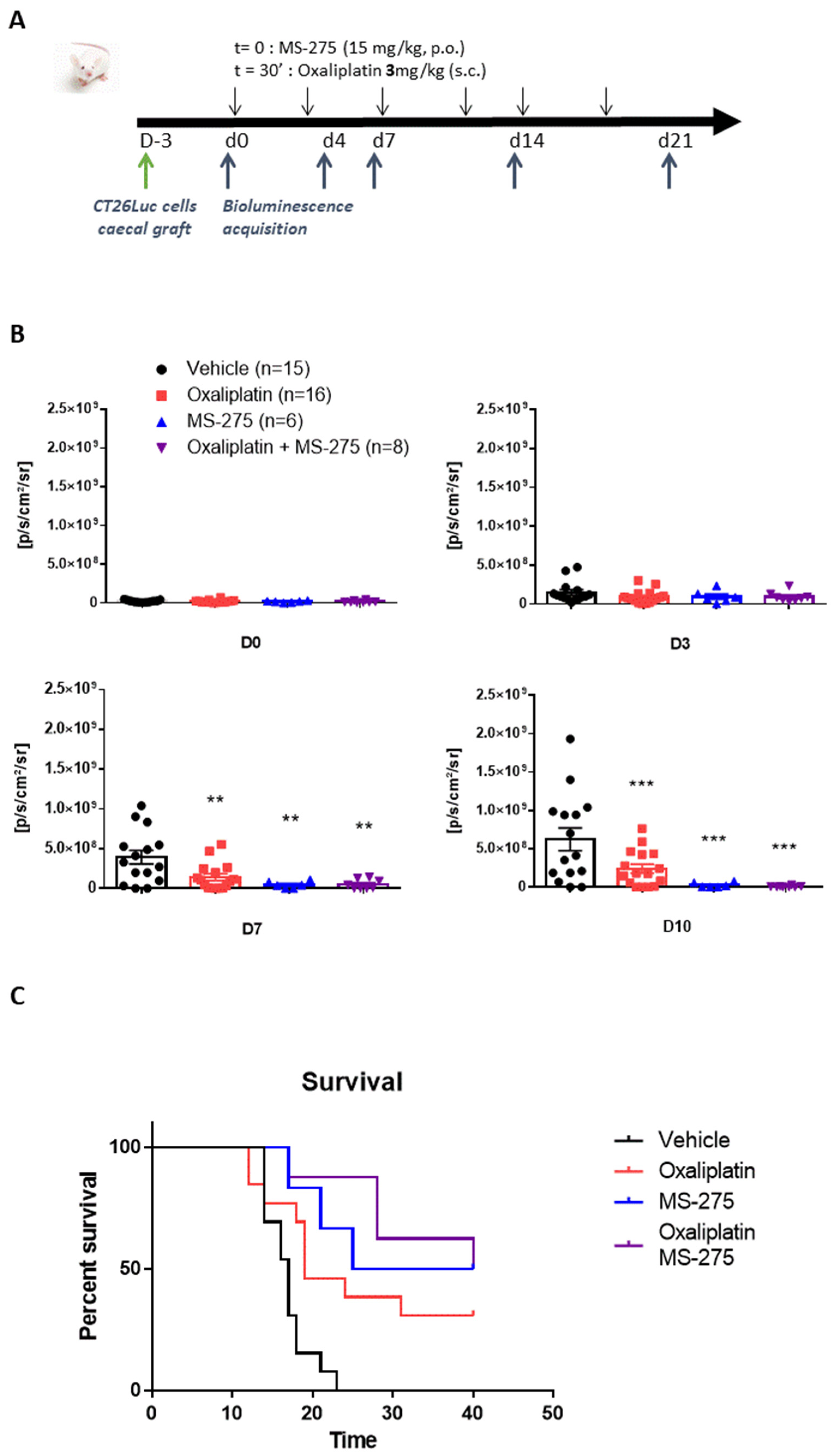 Ijms 23 00098 g004 Ijms 23 00098 g004