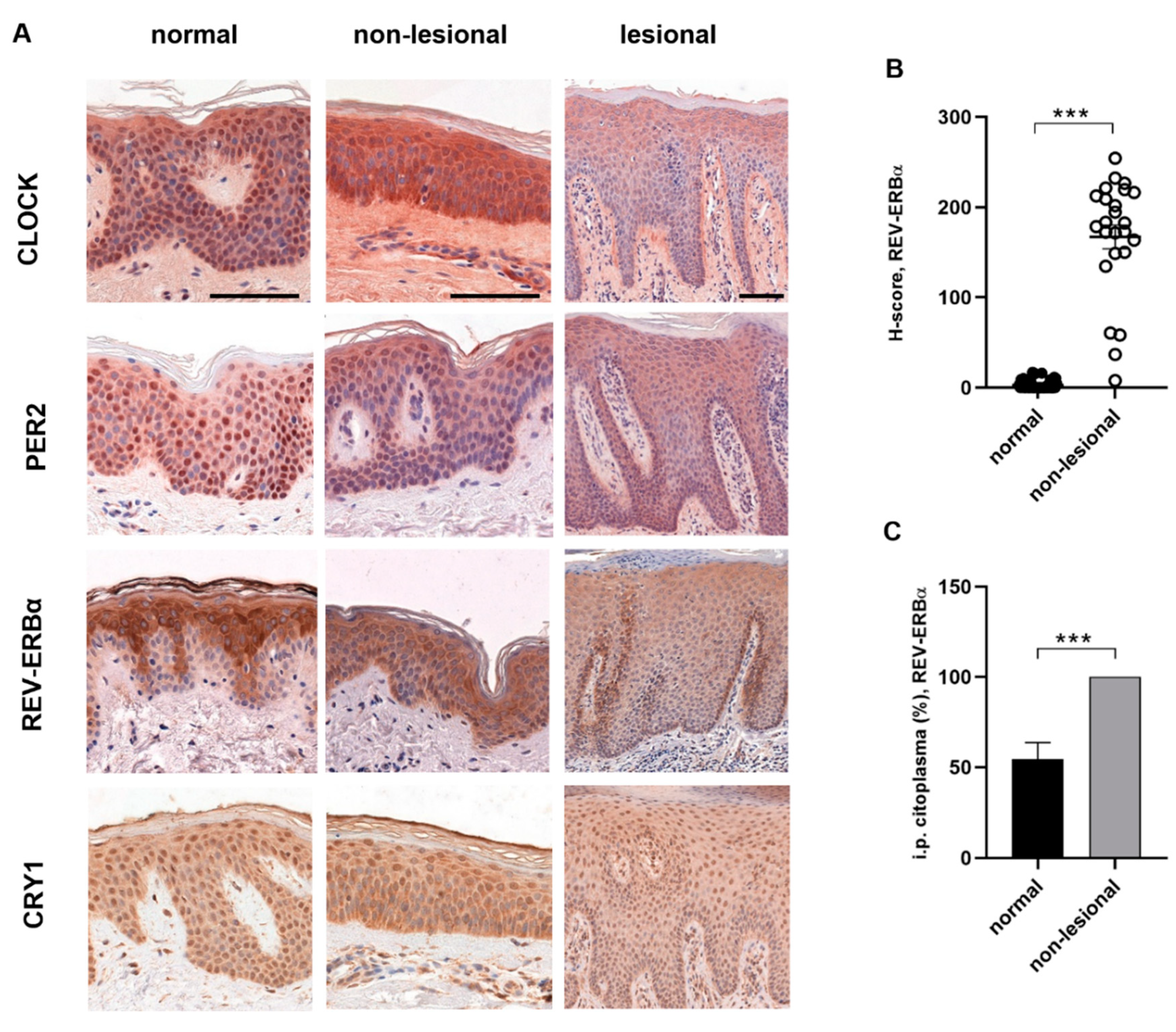 Ijms 23 00121 g002 Ijms 23 00121 g002