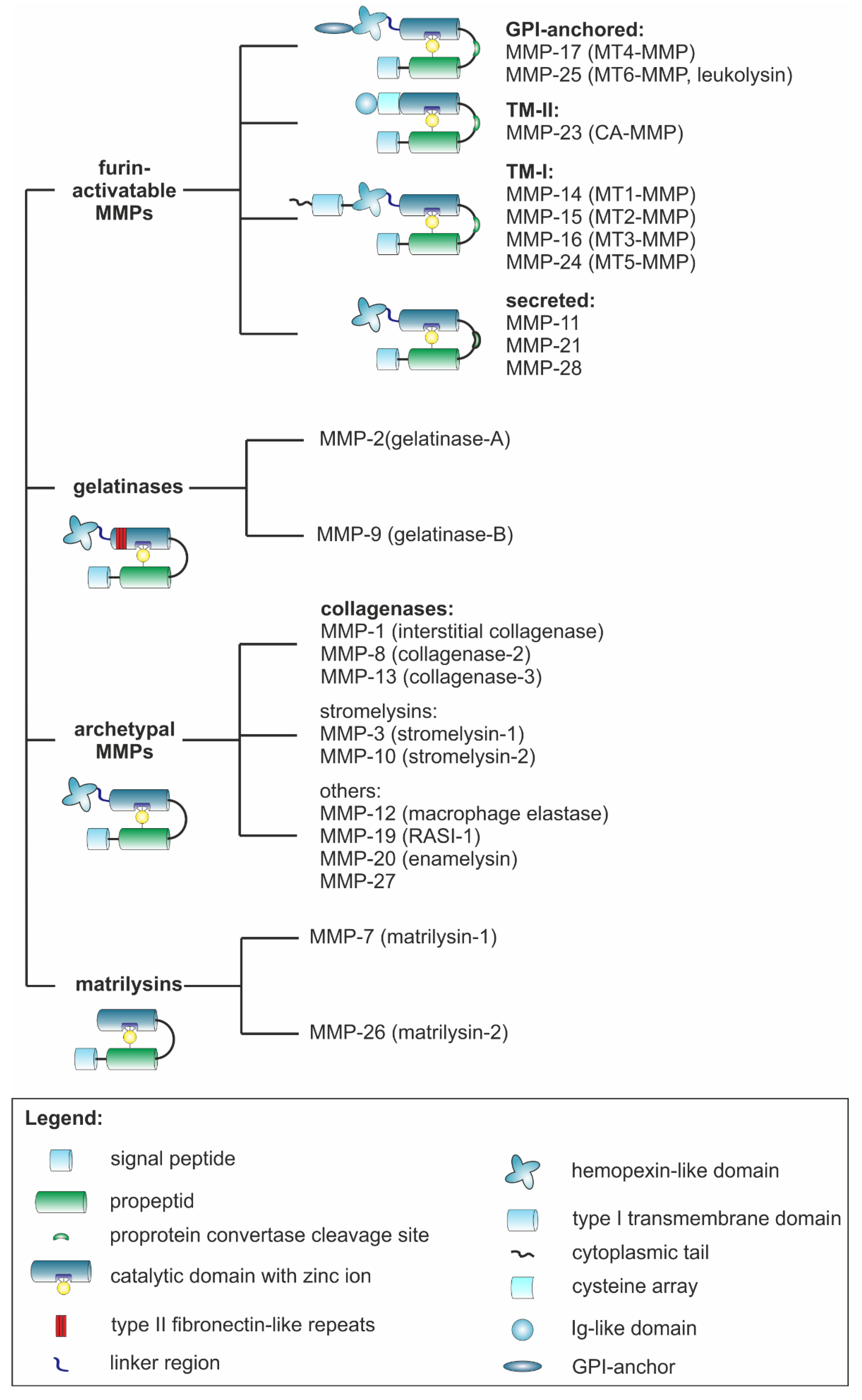 Ijms 23 00146 g002 Ijms 23 00146 g002