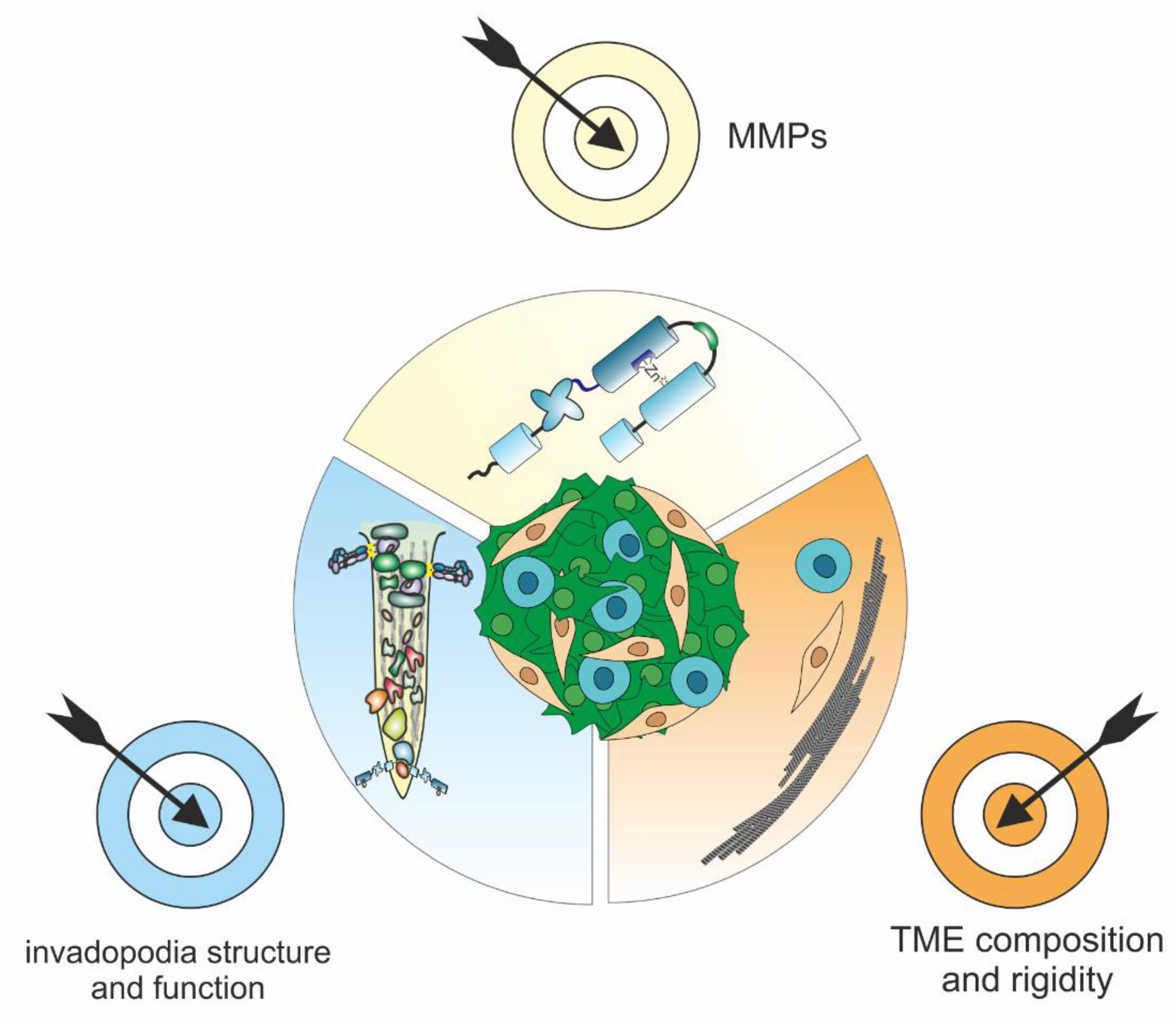 Ijms 23 00146 g008 Ijms 23 00146 g008