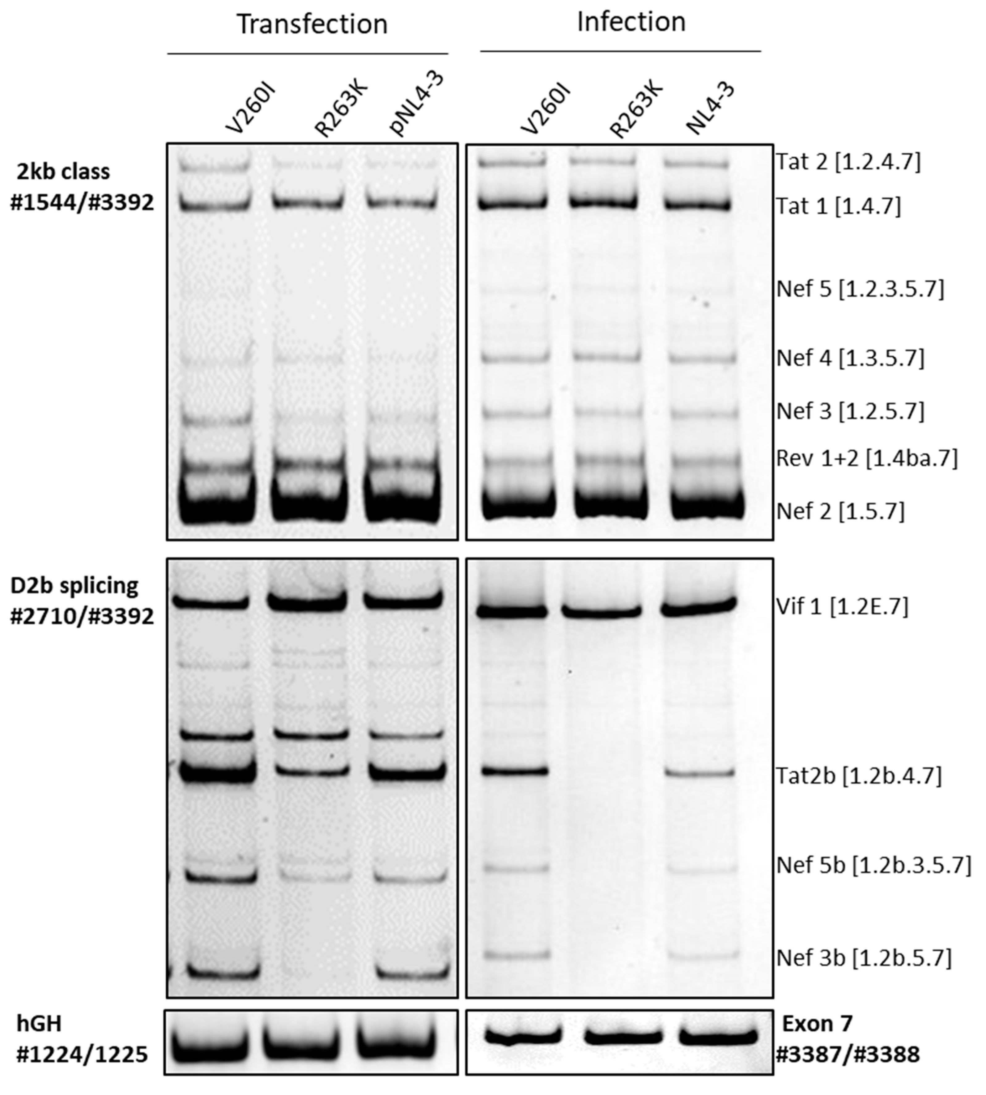 Ijms 23 00156 g002