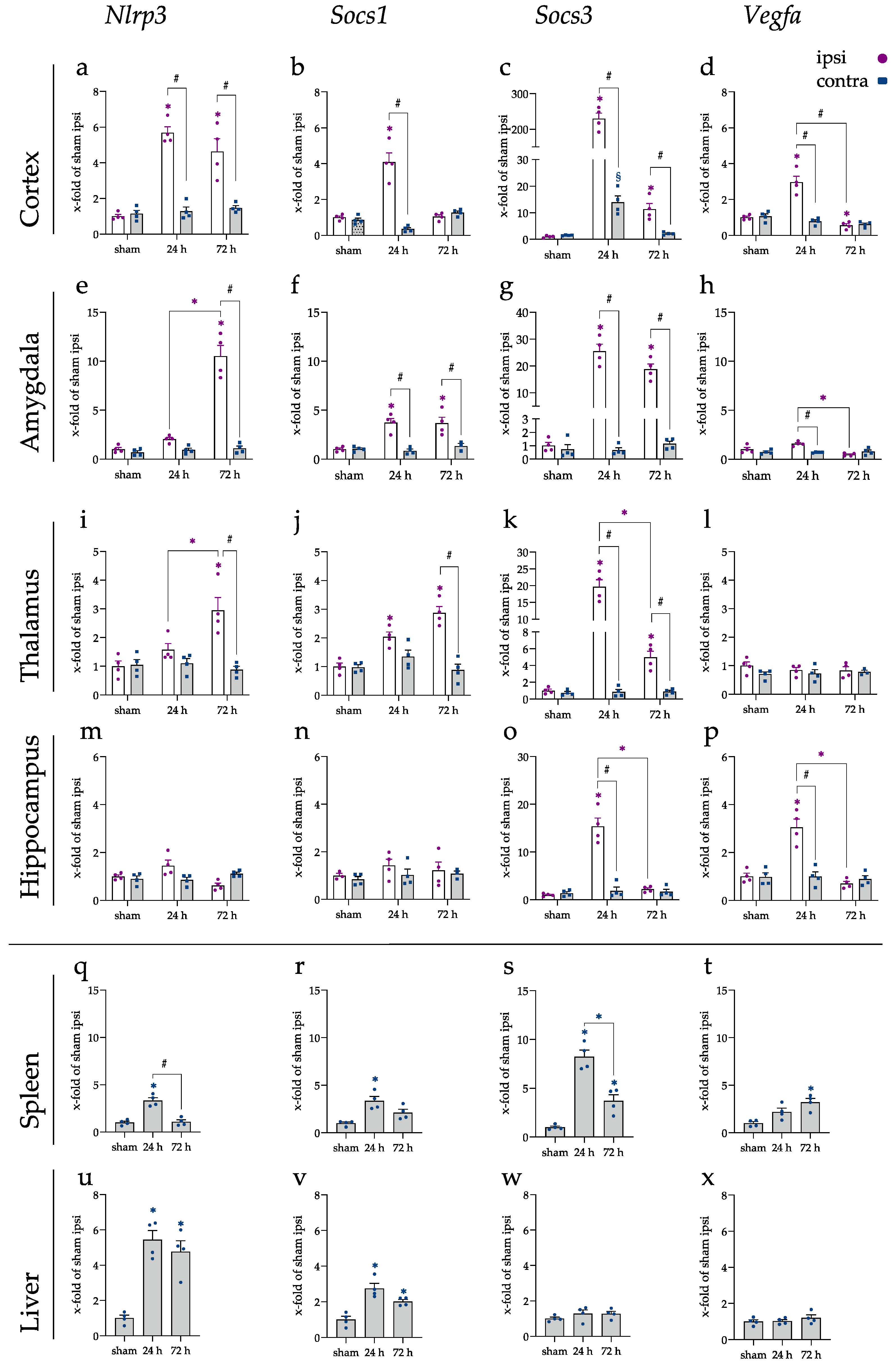 Ijms 23 00161 g005 Ijms 23 00161 g005
