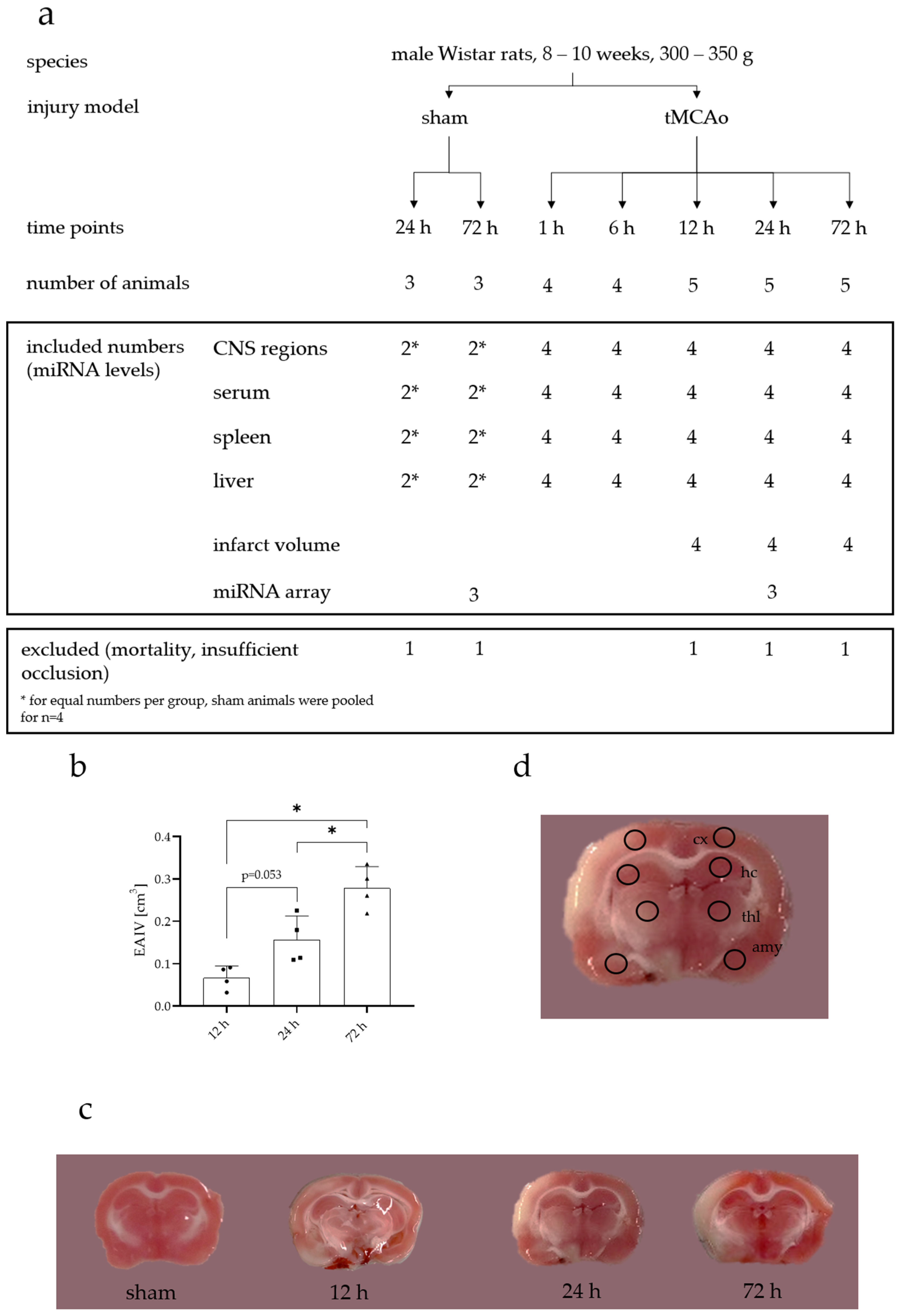 Ijms 23 00161 g0a2 Ijms 23 00161 g0a2