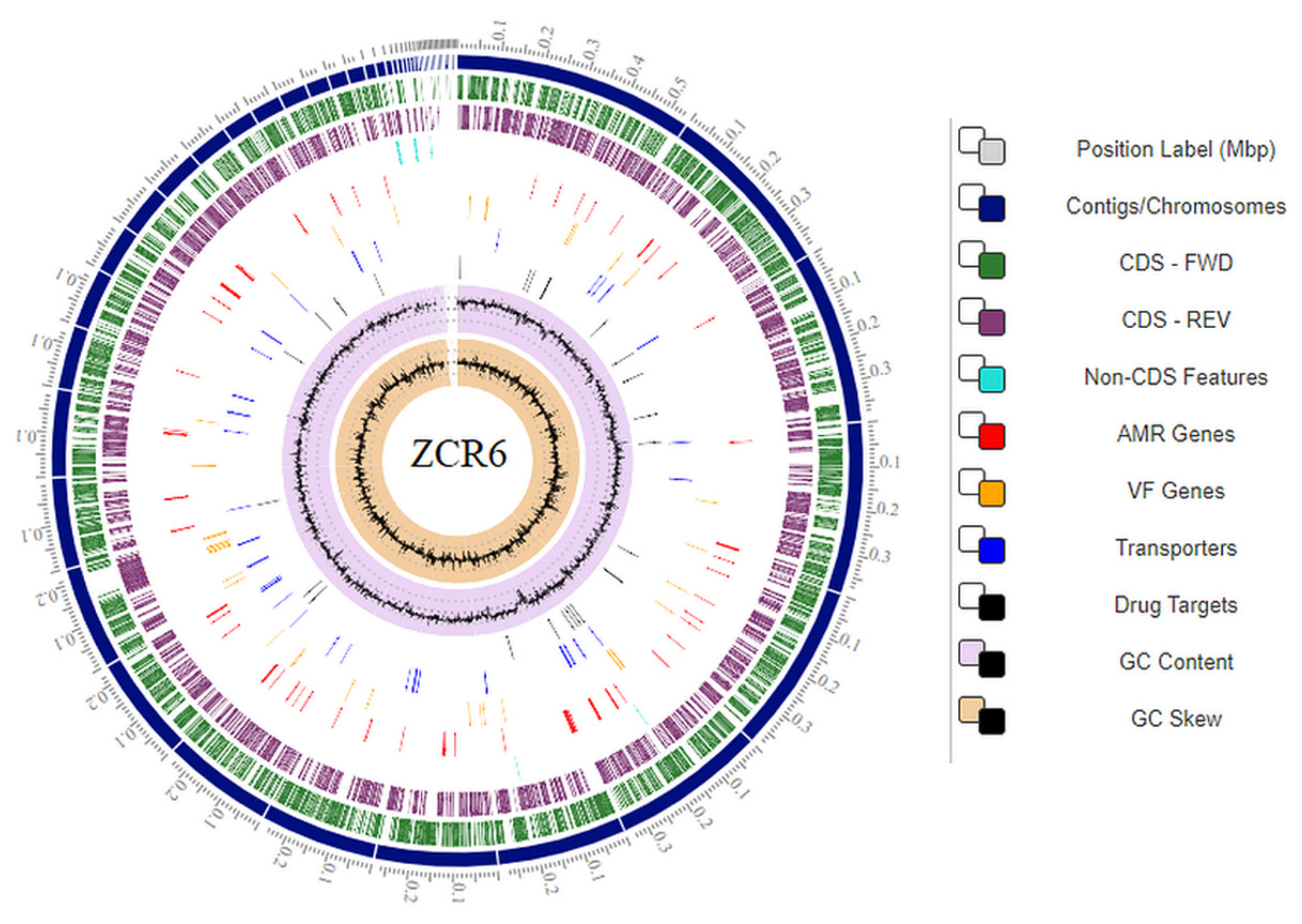Ijms 23 00214 g002 Ijms 23 00214 g002