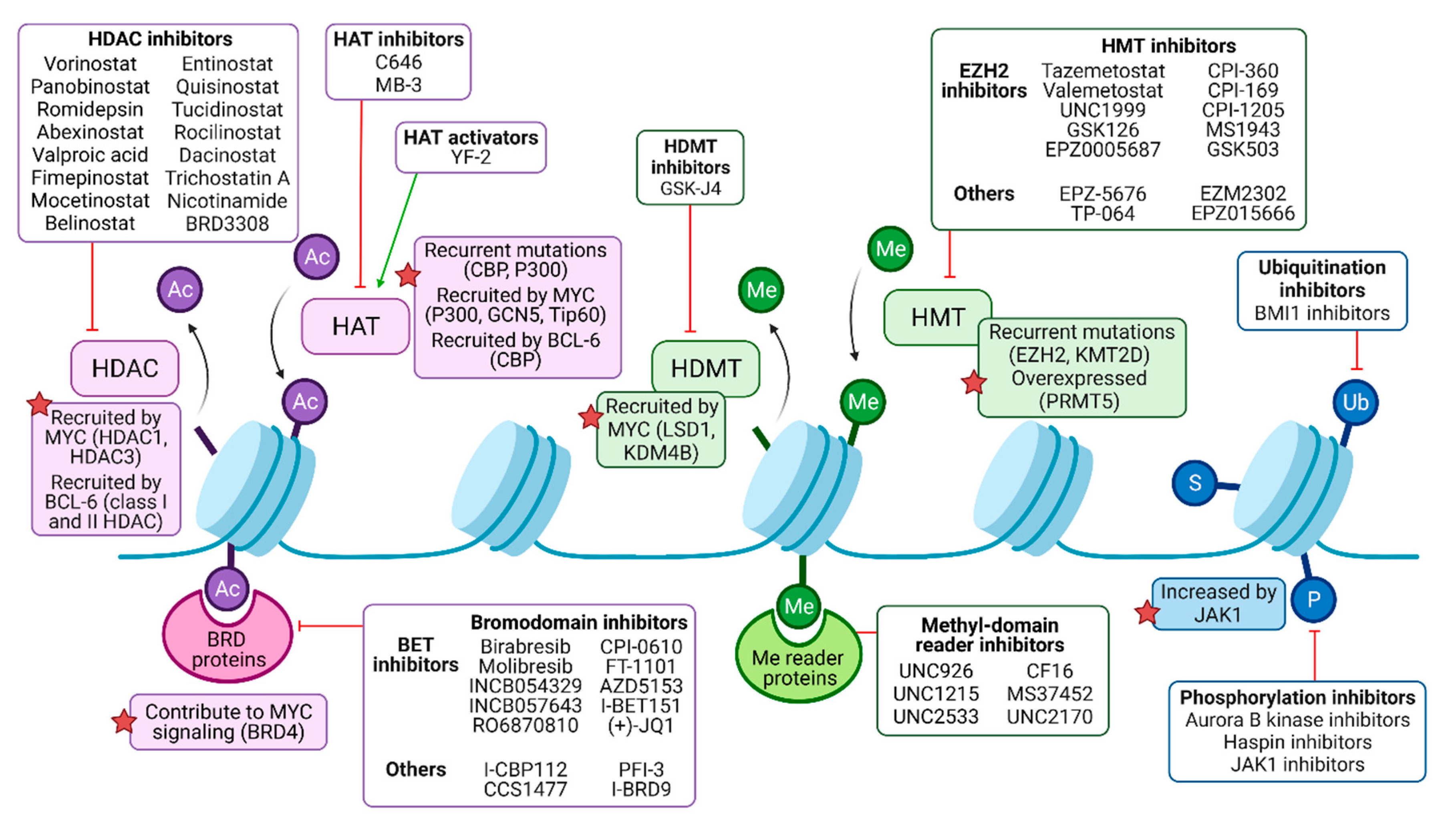 IJMS | Free Full-Text | Histone Modifications and Their Targeting 