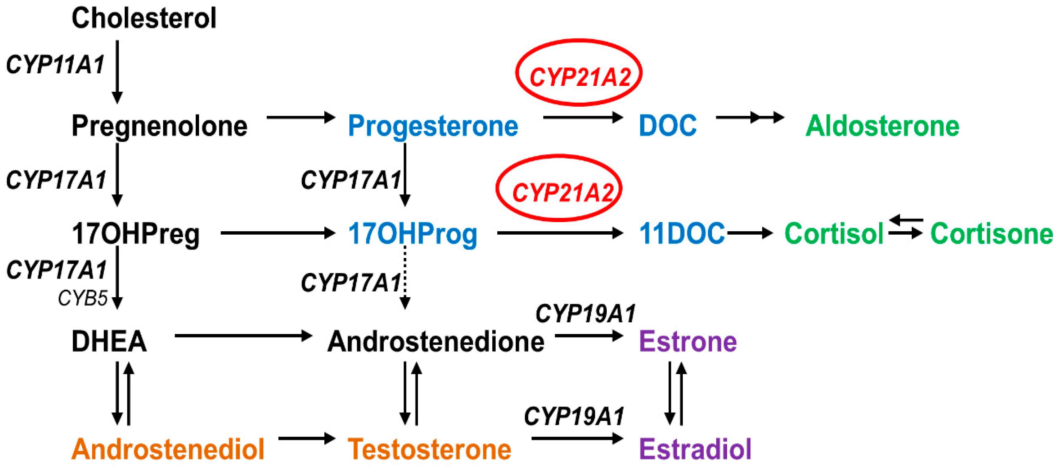 Ijms 23 00296 g001 Ijms 23 00296 g001