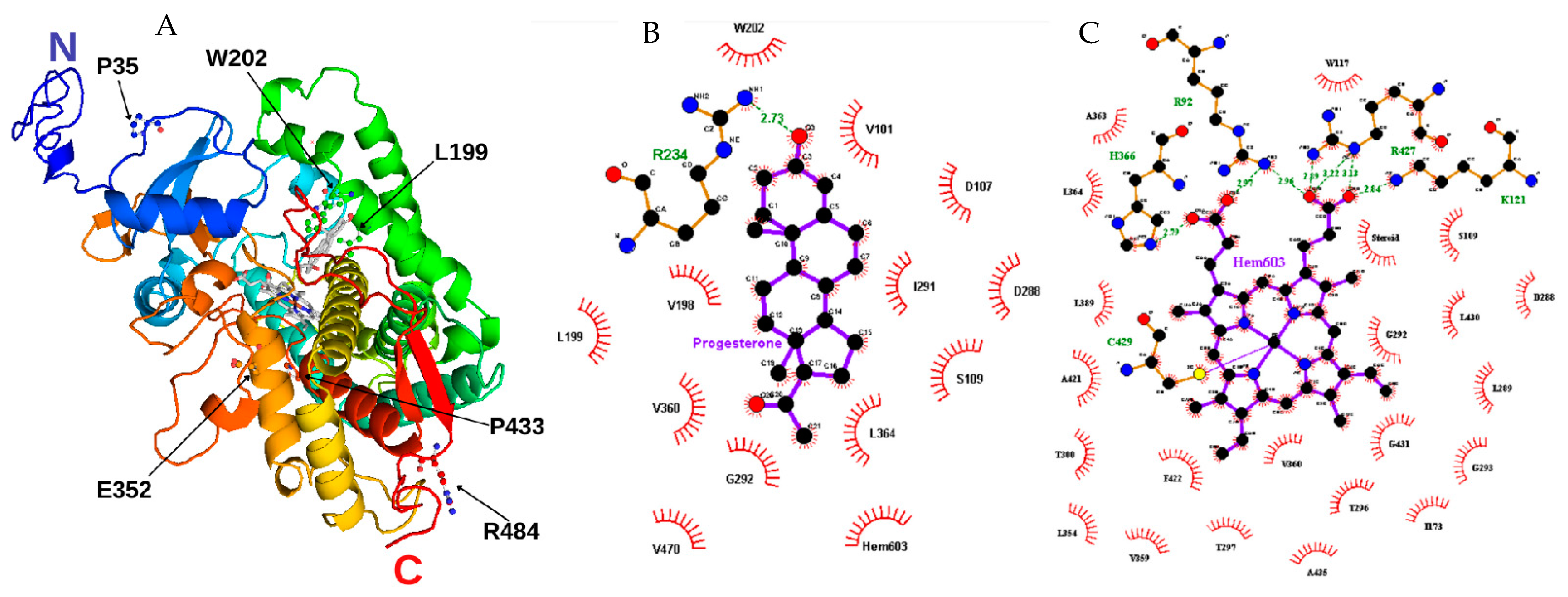 Ijms 23 00296 g002 Ijms 23 00296 g002