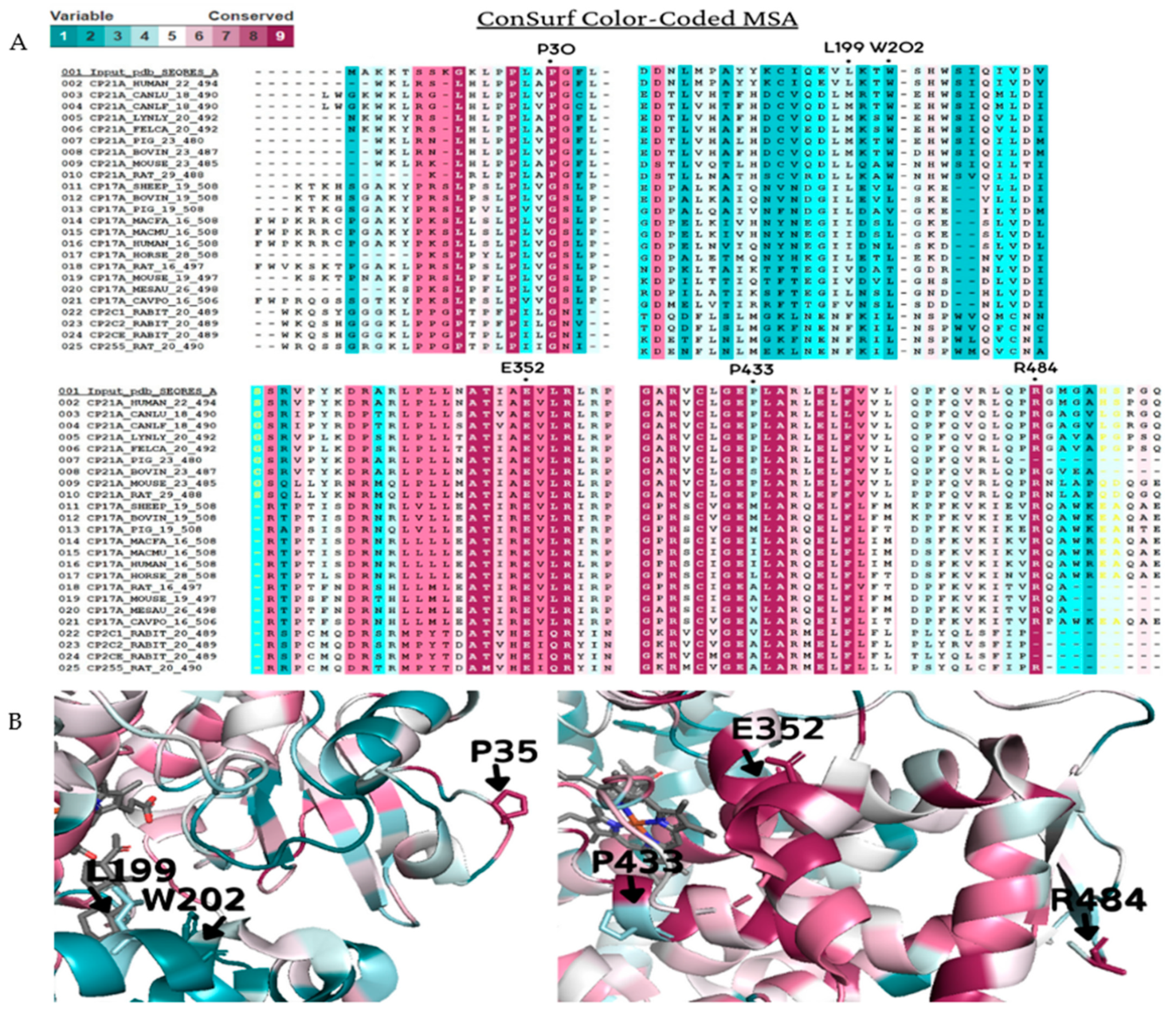 Ijms 23 00296 g004 Ijms 23 00296 g004