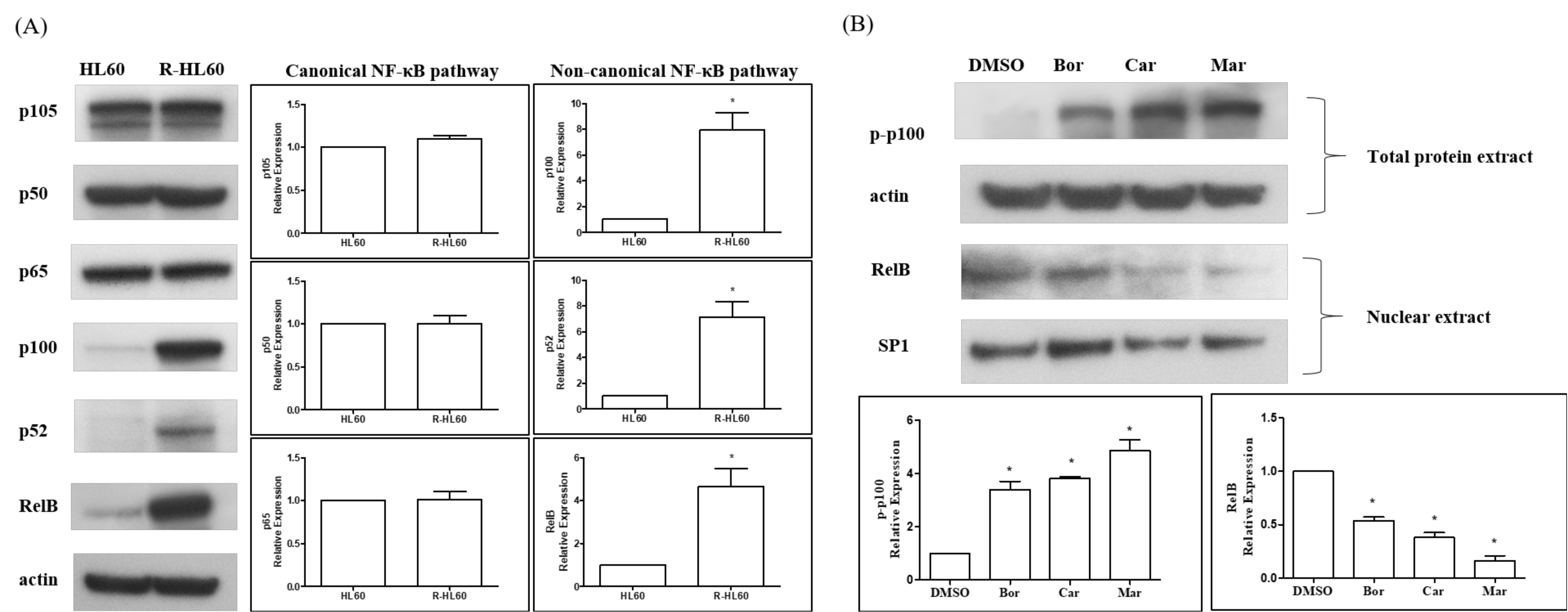 Ijms 23 00361 g003 Ijms 23 00361 g003