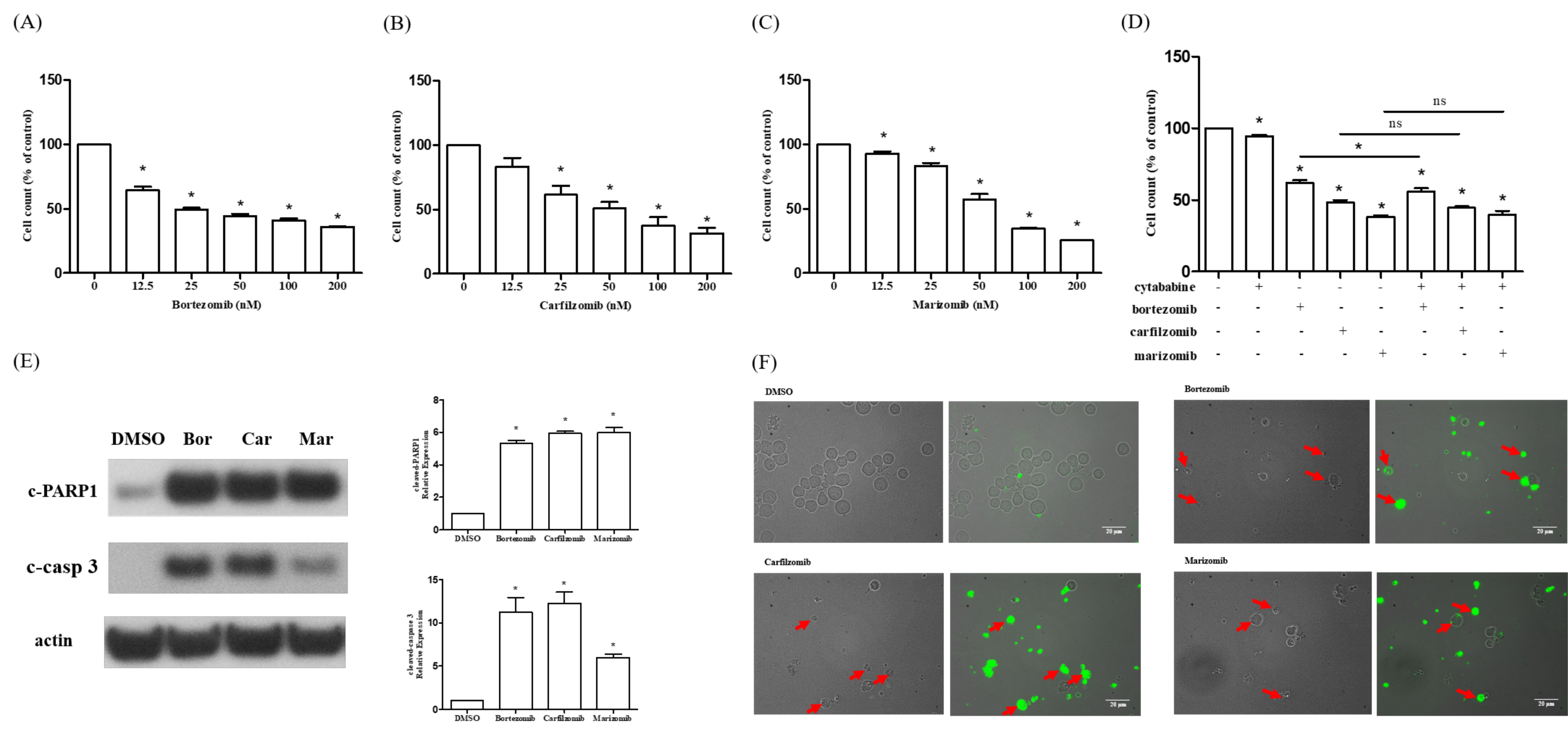 Ijms 23 00361 g004 Ijms 23 00361 g004