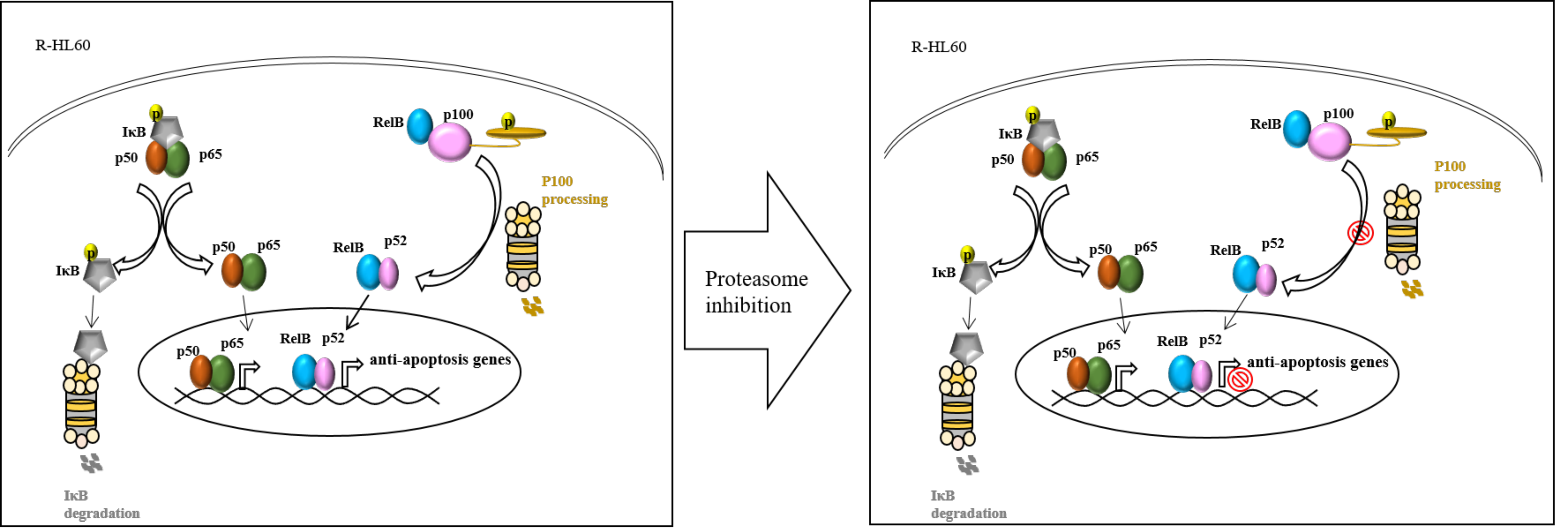 Ijms 23 00361 g005 Ijms 23 00361 g005