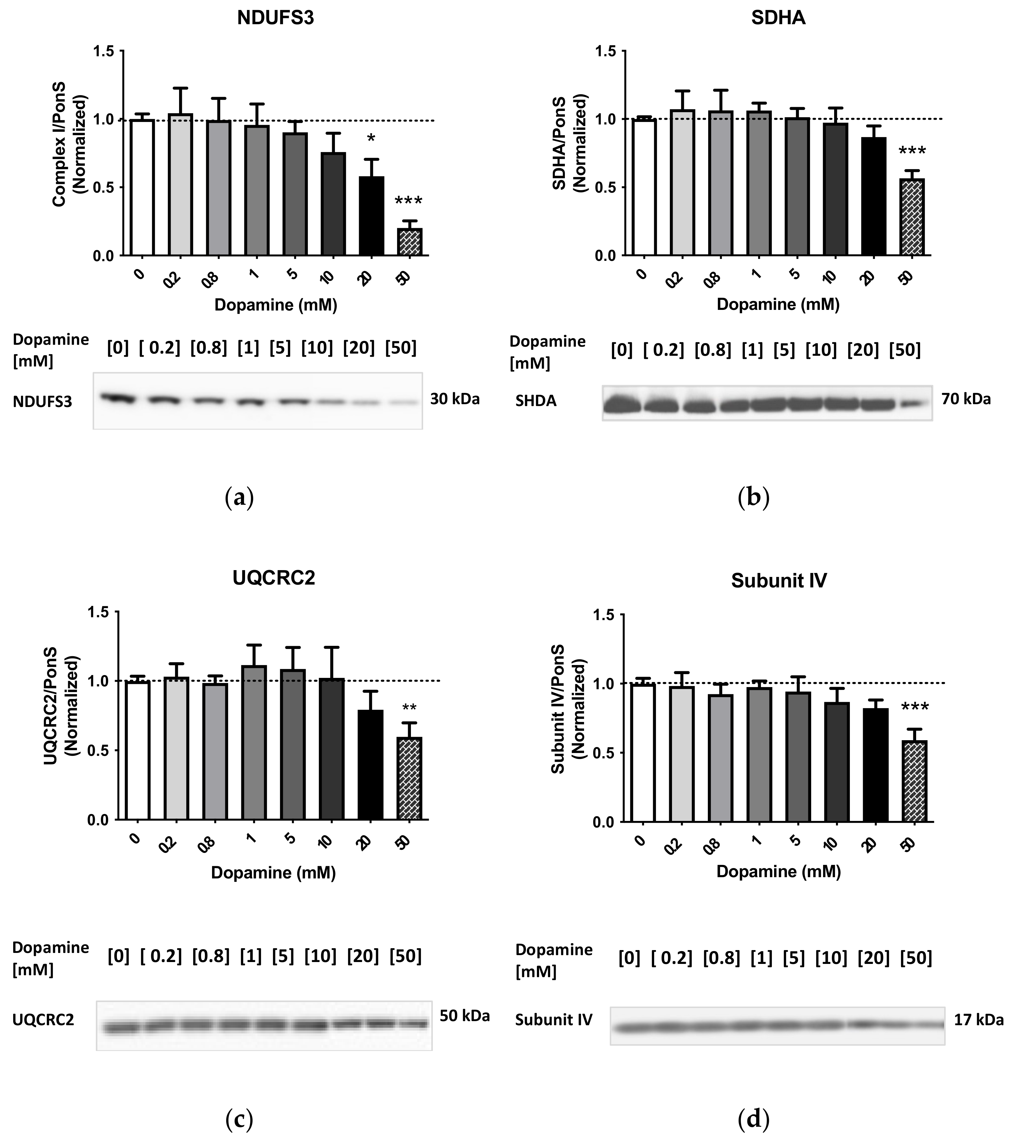Ijms 23 00363 g002 Ijms 23 00363 g002