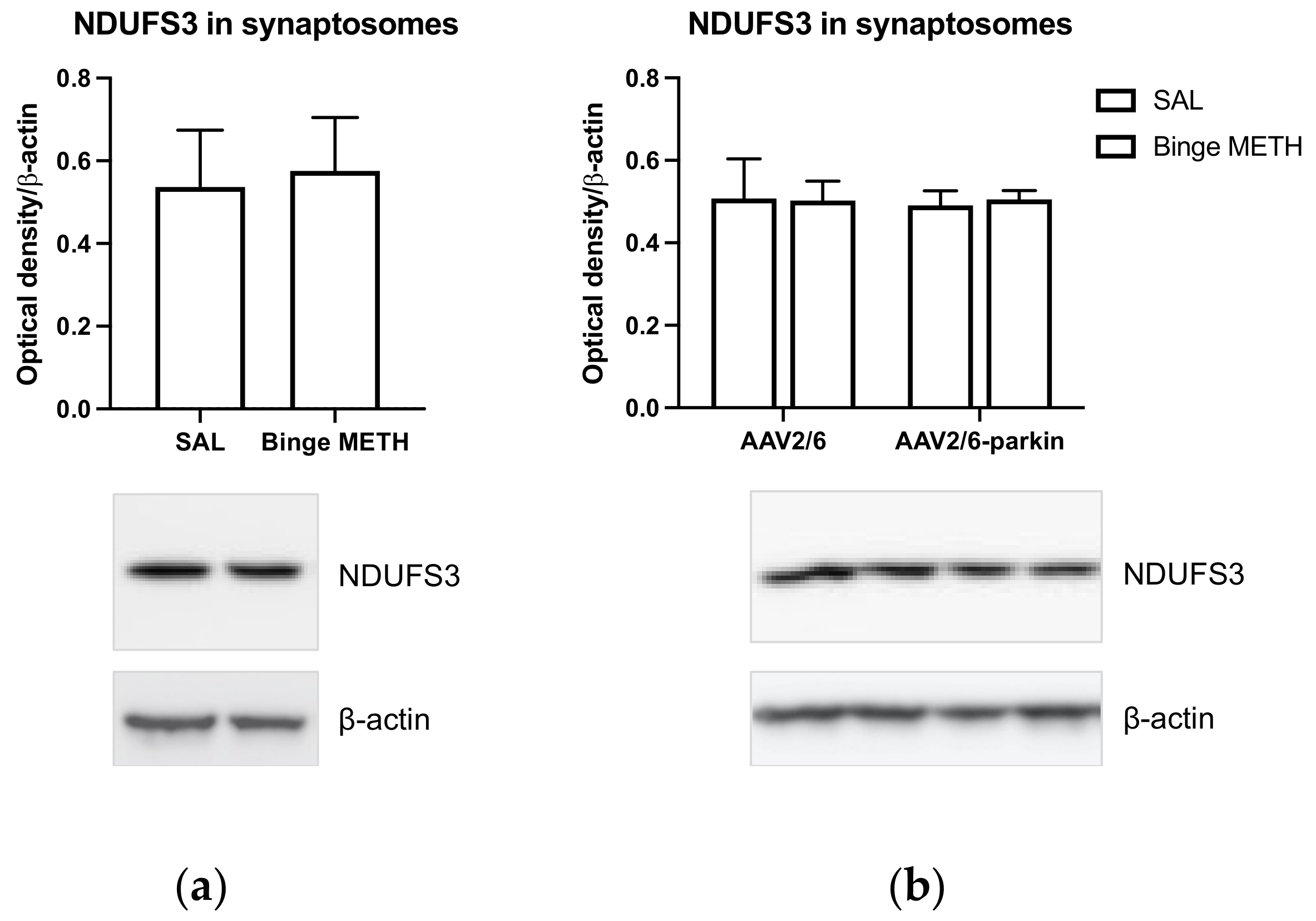 Ijms 23 00363 g008 Ijms 23 00363 g008