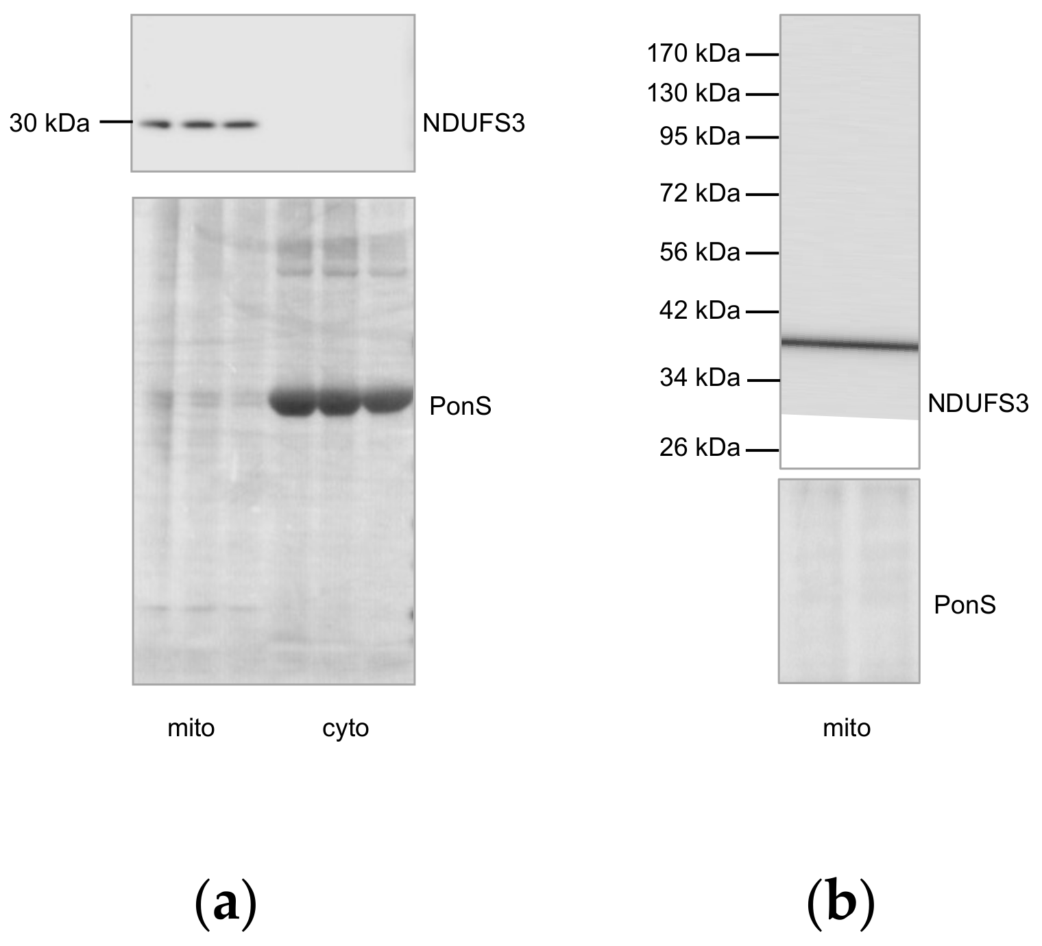 Ijms 23 00363 g0a3 Ijms 23 00363 g0a3