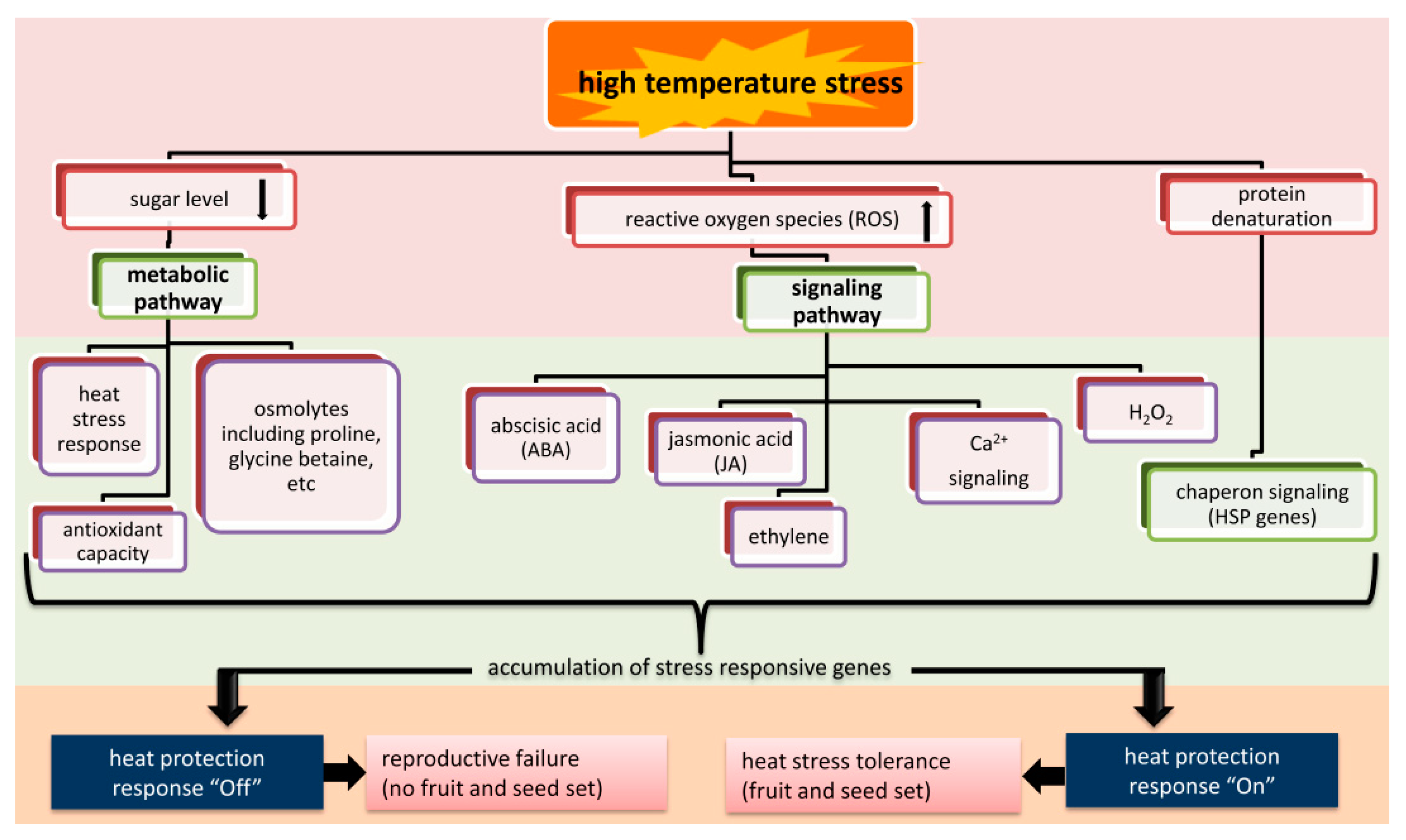 Ijms 23 00399 g003 Ijms 23 00399 g003