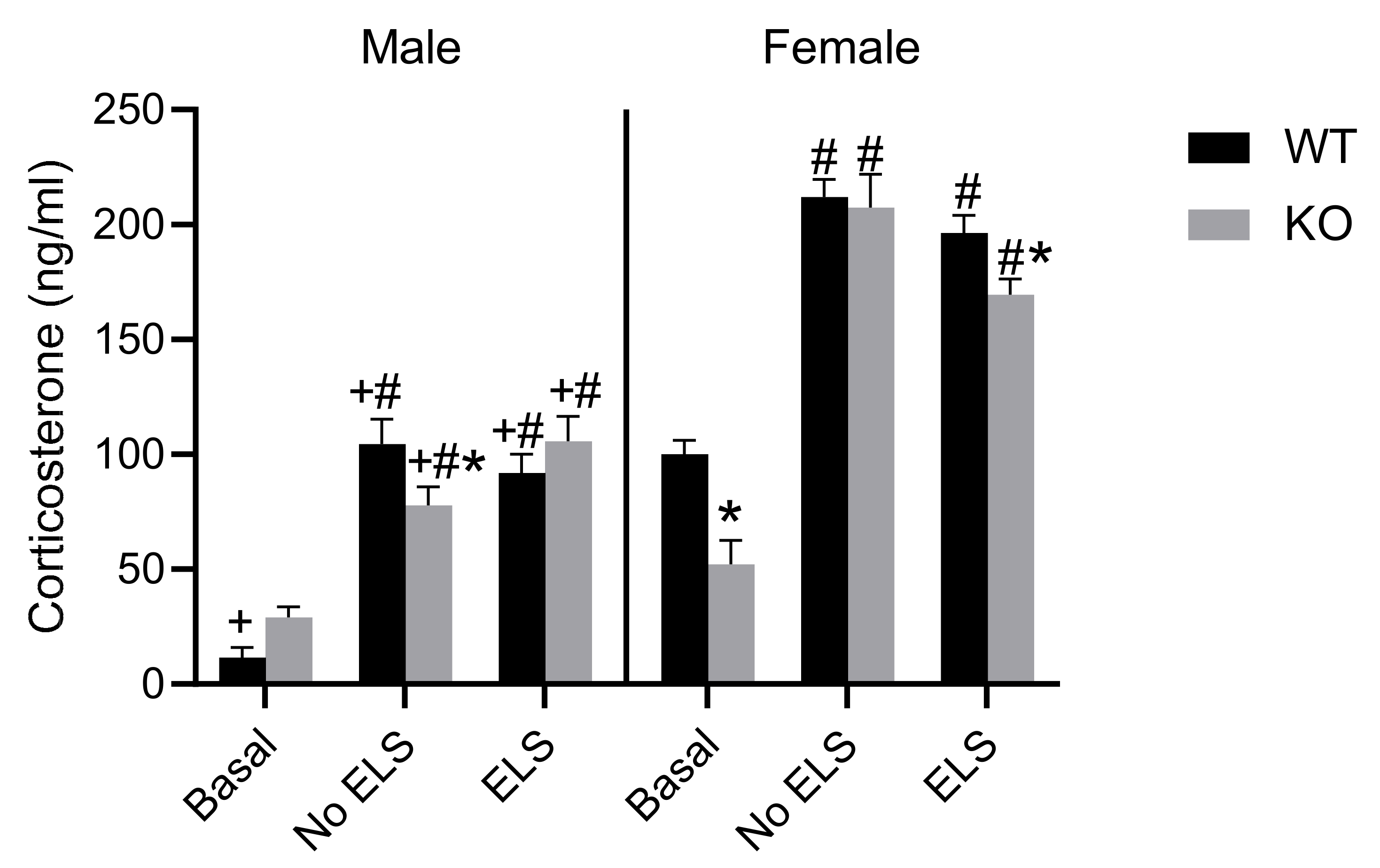 Ijms 23 00410 g007 Ijms 23 00410 g007