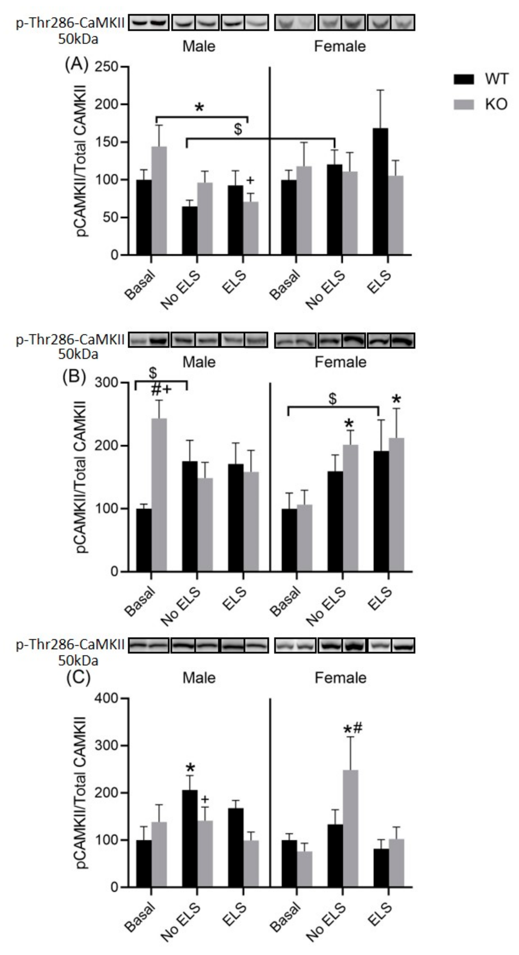 Ijms 23 00410 g008 Ijms 23 00410 g008