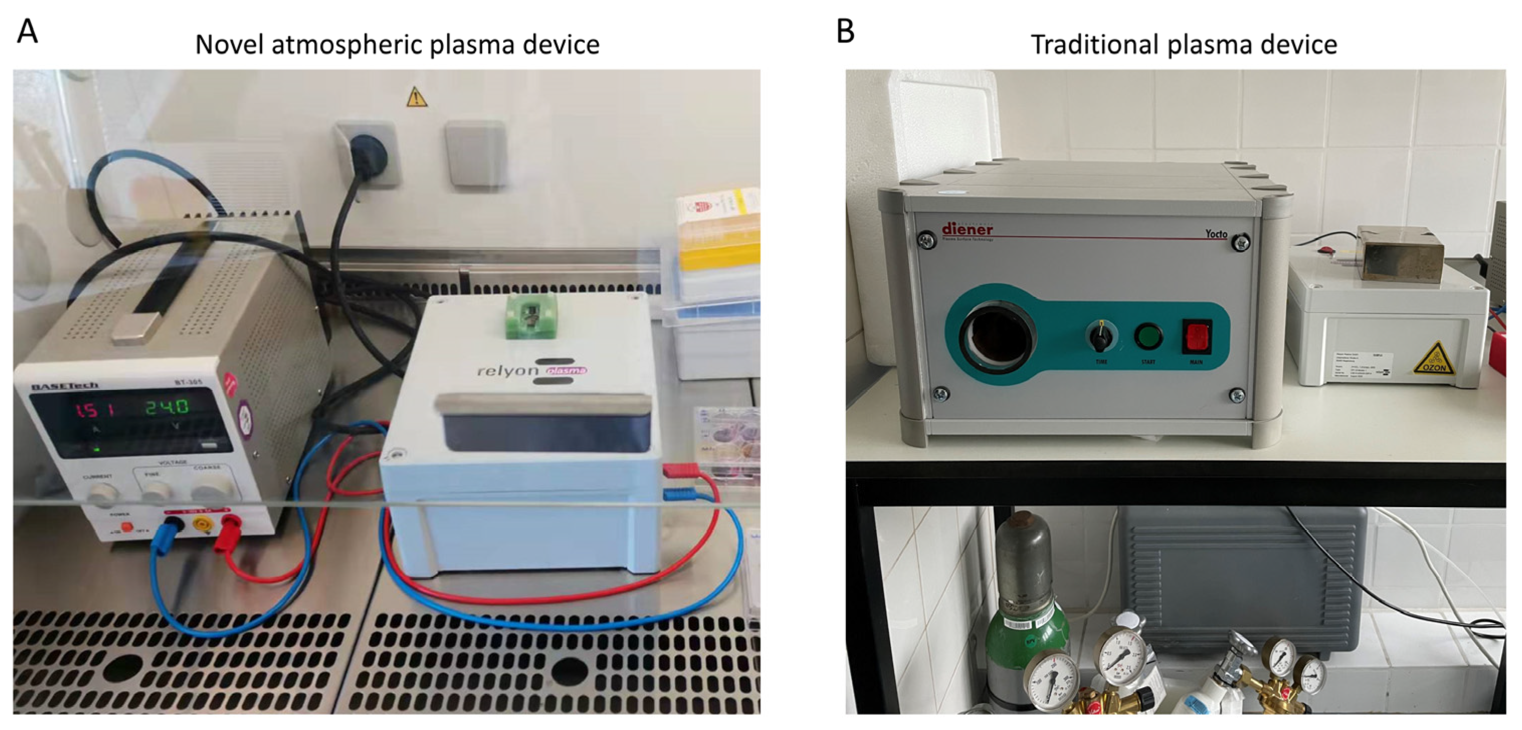 Ijms 23 00420 g001 Ijms 23 00420 g001