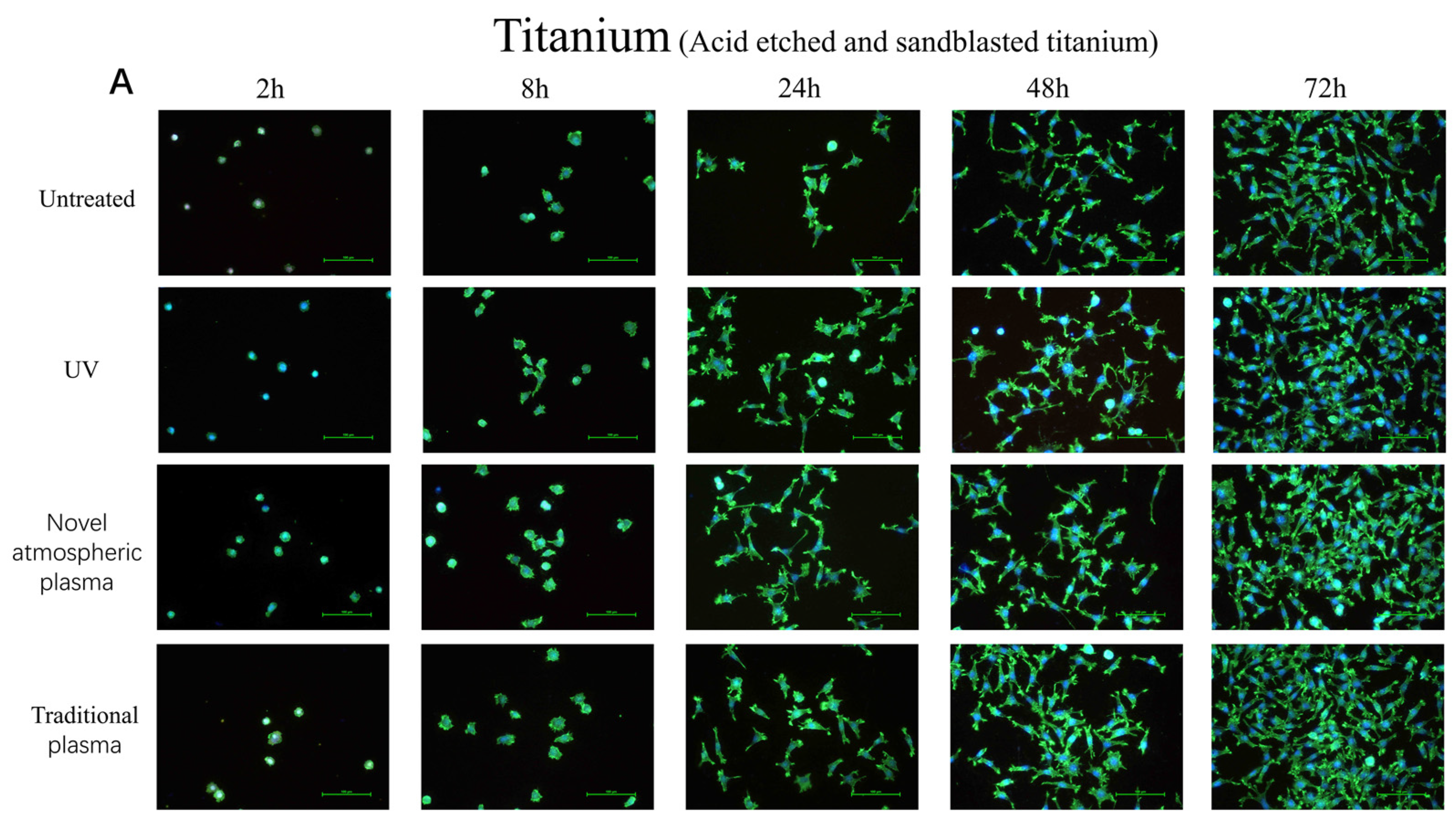 Ijms 23 00420 g003a Ijms 23 00420 g003a