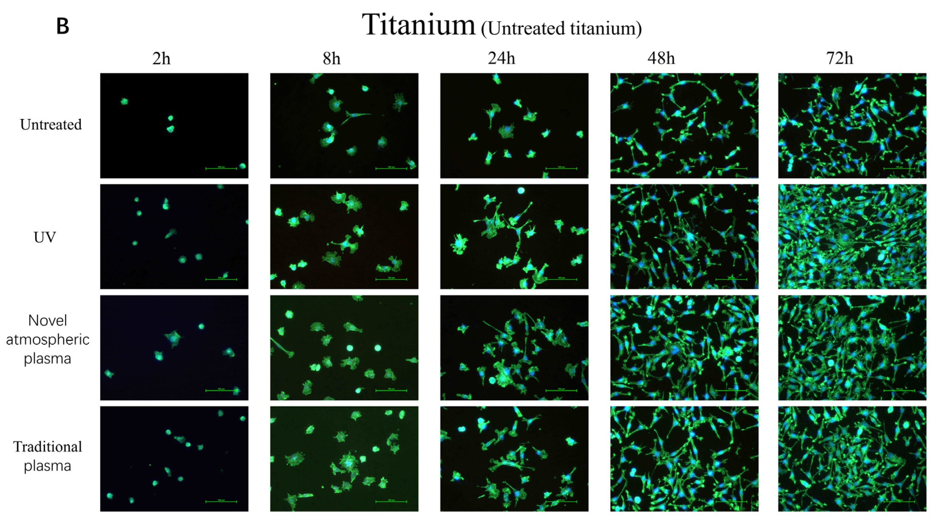 Ijms 23 00420 g003b Ijms 23 00420 g003b