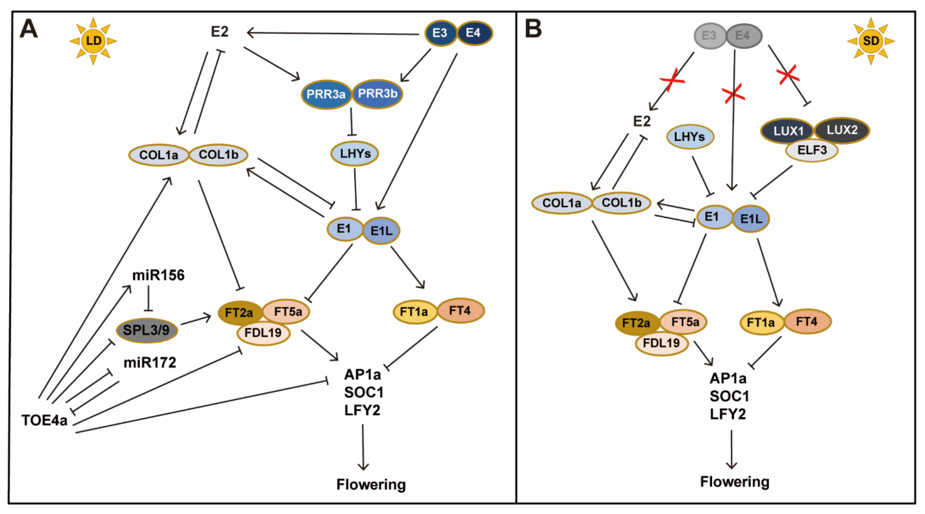Ijms 23 00466 g002 Ijms 23 00466 g002