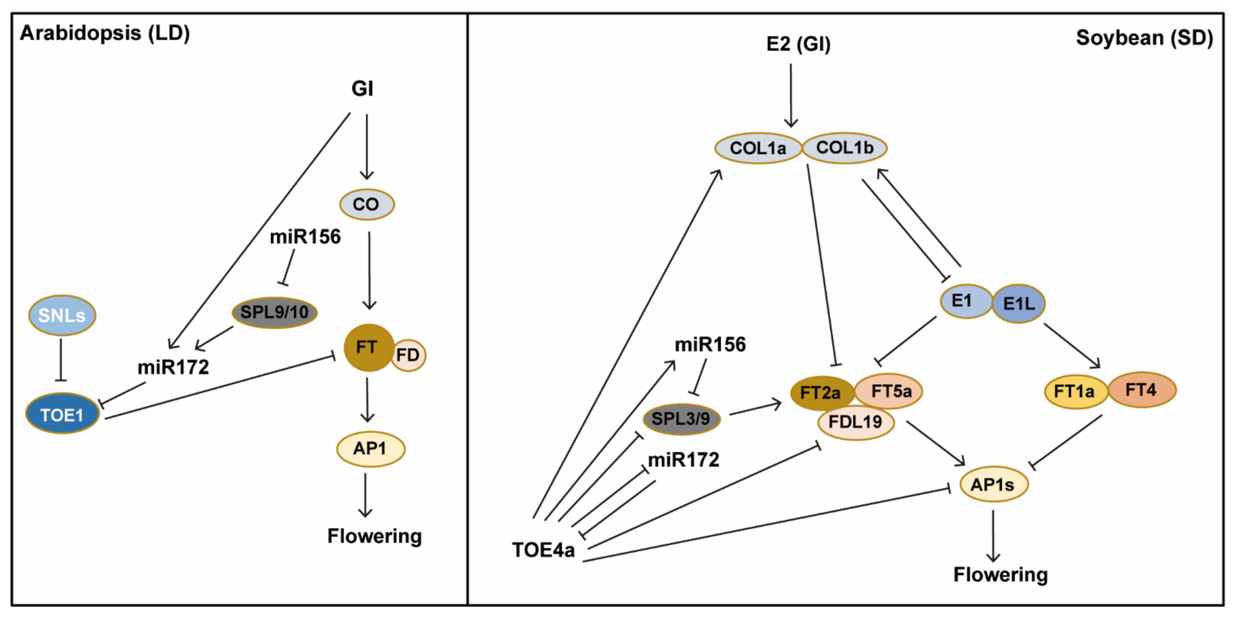 Ijms 23 00466 g003 Ijms 23 00466 g003