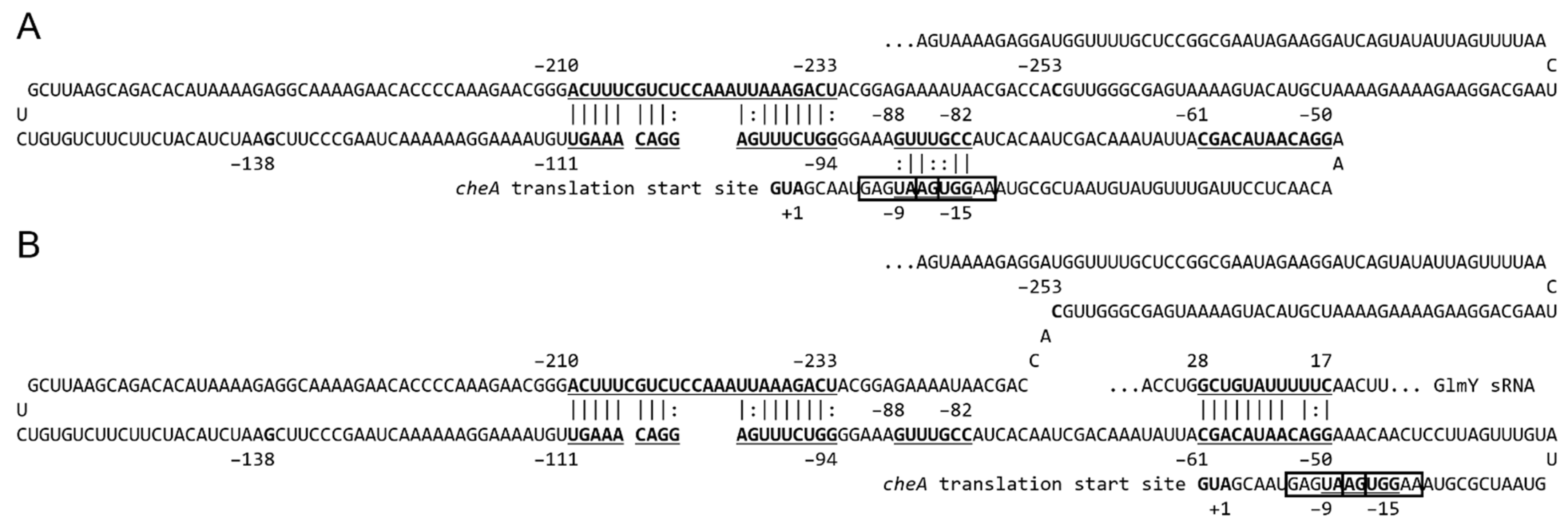 Ijms 23 00487 g007 Ijms 23 00487 g007