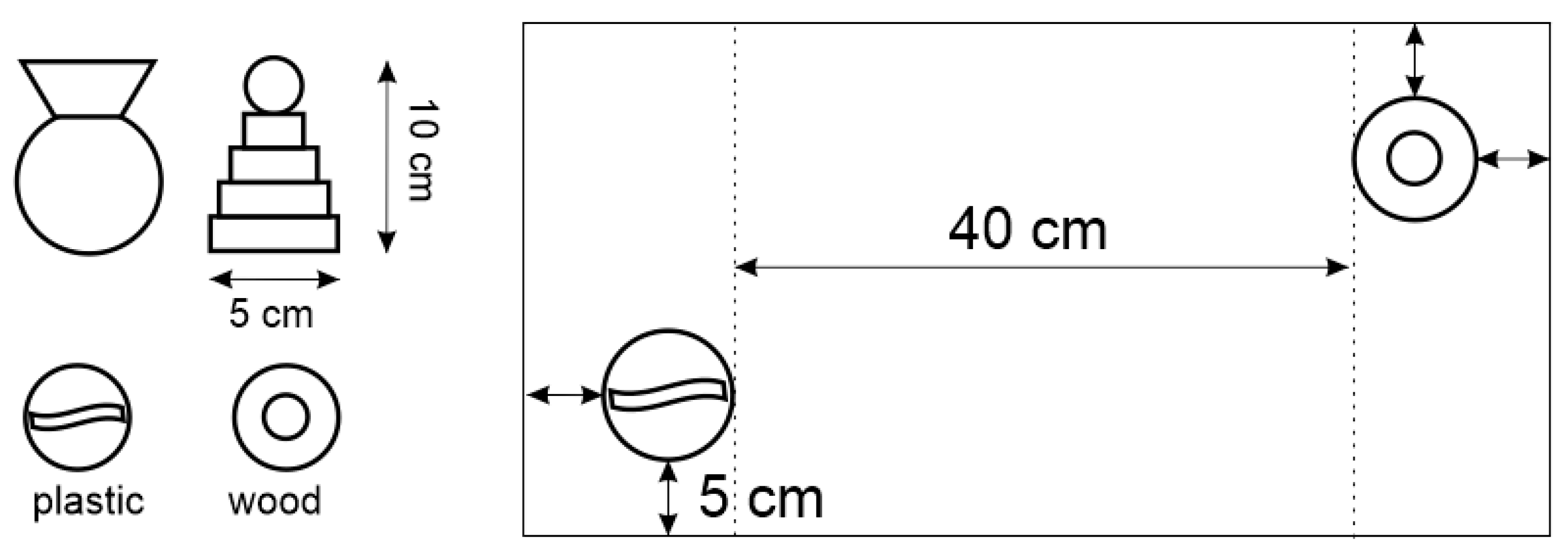 Ijms 23 00497 g013 Ijms 23 00497 g013