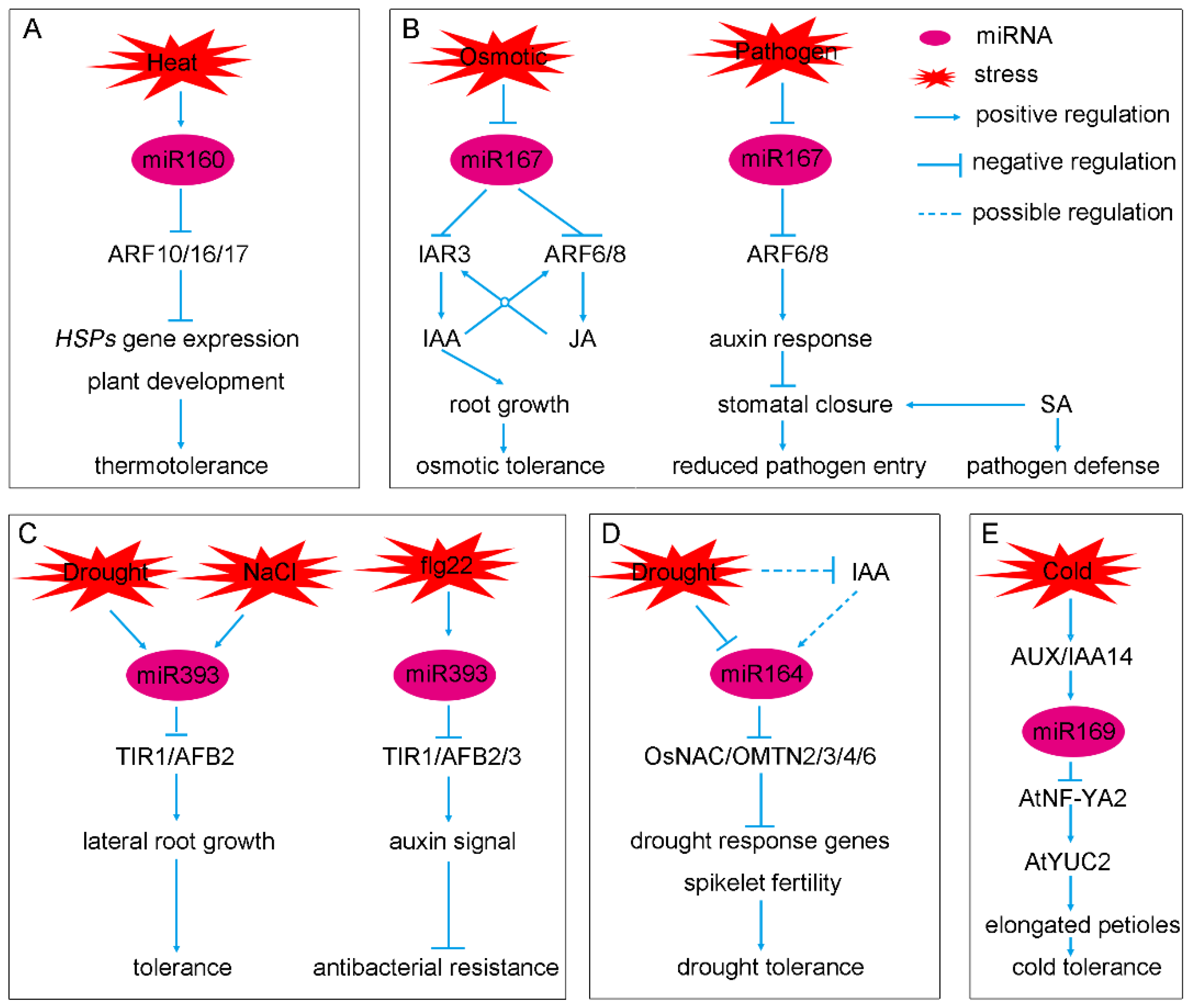 Ijms 23 00510 g002