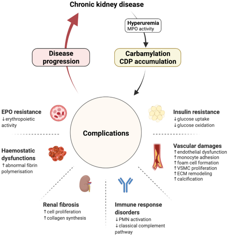 Ijms 23 00574 g001 Ijms 23 00574 g001
