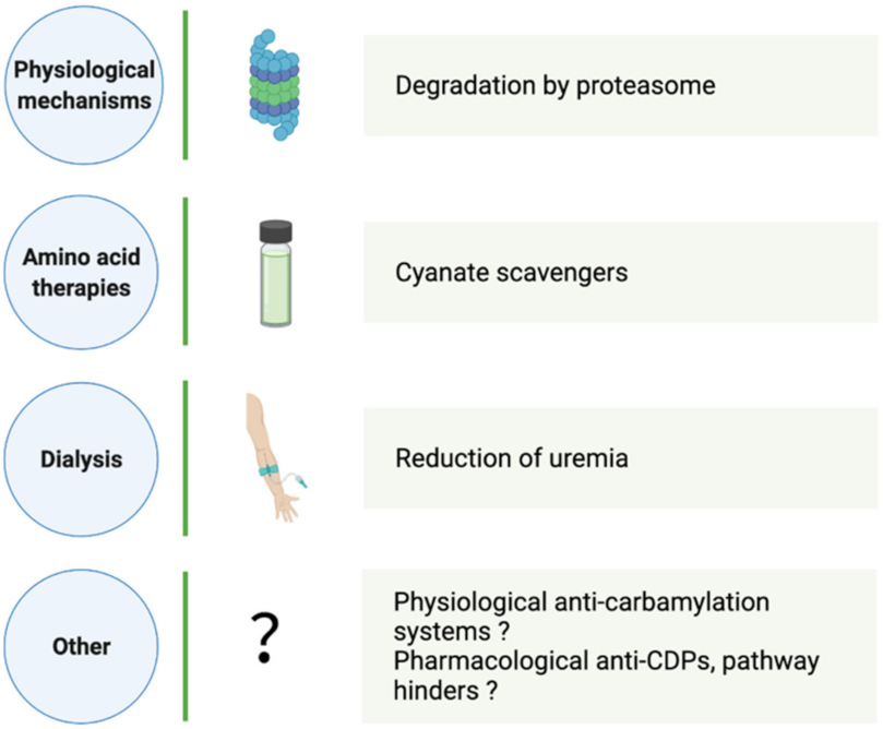 Ijms 23 00574 g002 Ijms 23 00574 g002