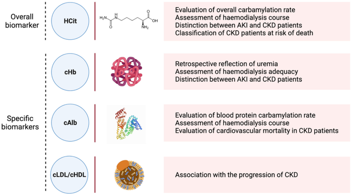 Ijms 23 00574 g003 Ijms 23 00574 g003
