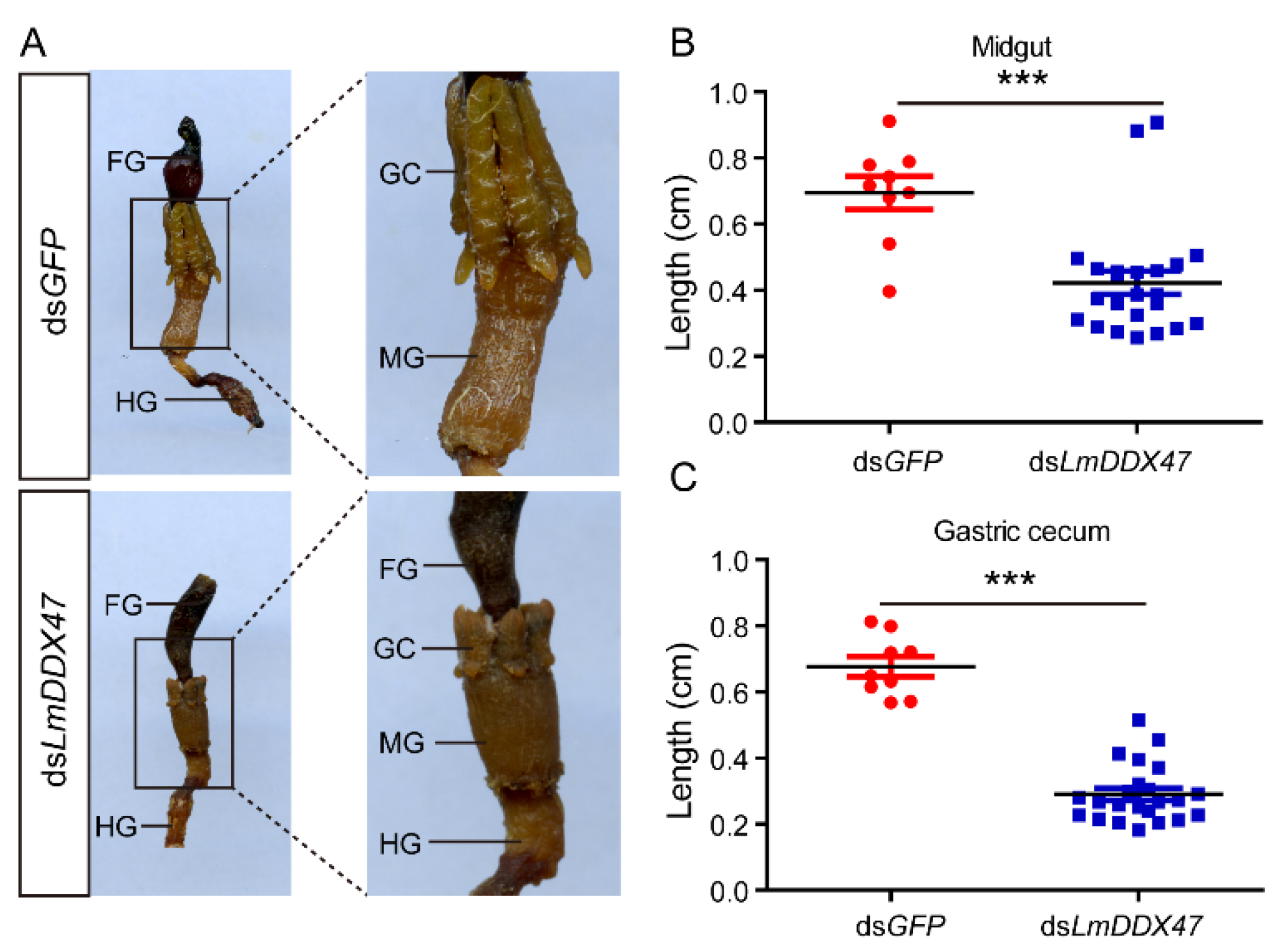 Ijms 23 00586 g001 Ijms 23 00586 g001