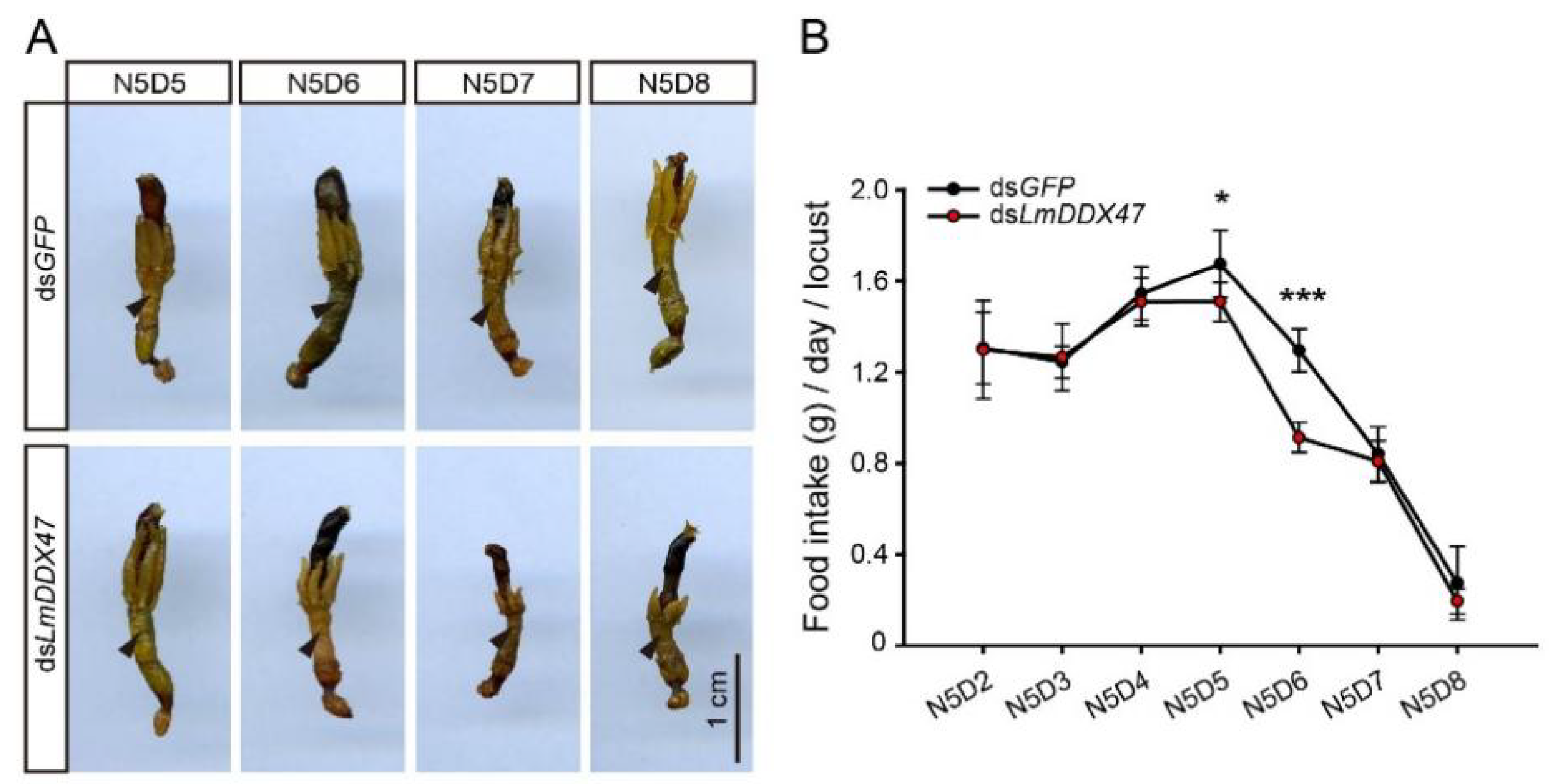 Ijms 23 00586 g004 Ijms 23 00586 g004