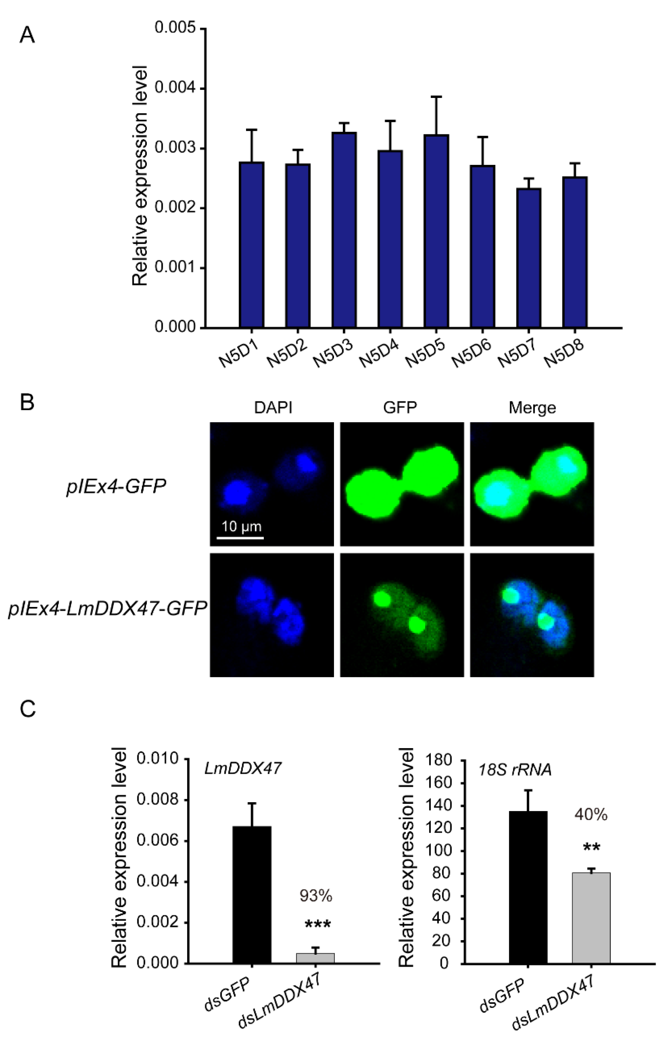 Ijms 23 00586 g008 Ijms 23 00586 g008