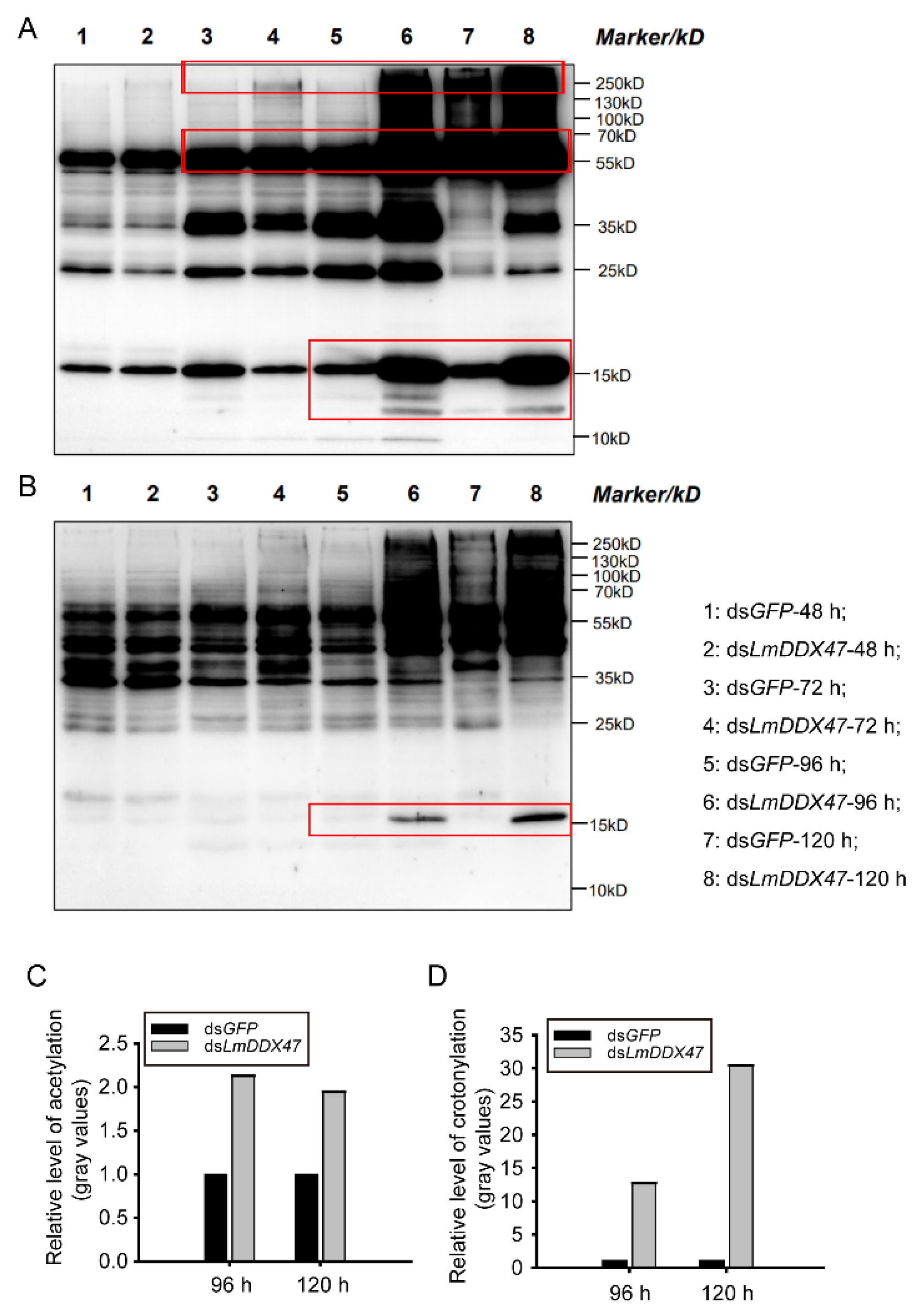 Ijms 23 00586 g009 Ijms 23 00586 g009