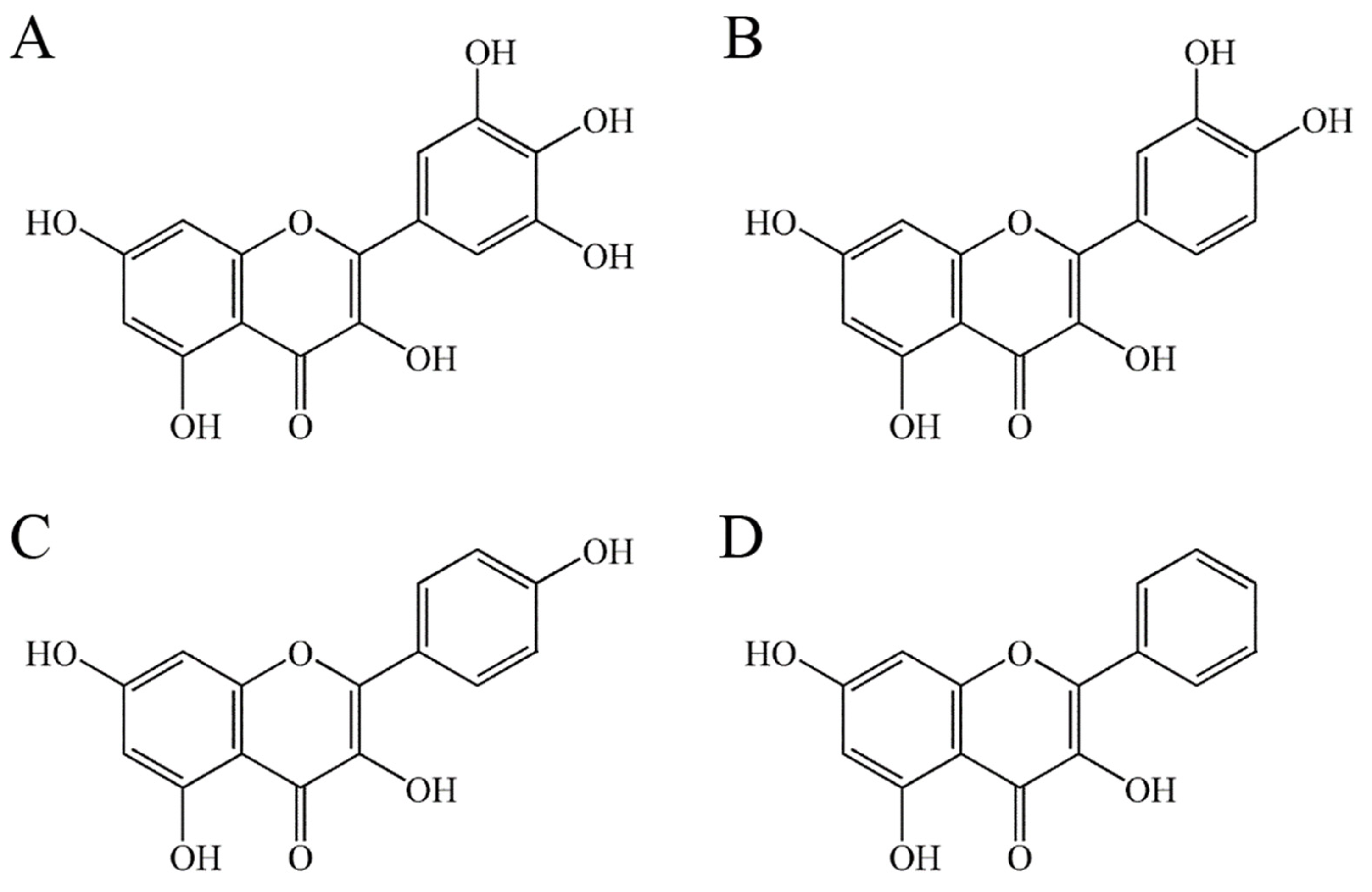 Ijms 23 00588 g001 Ijms 23 00588 g001