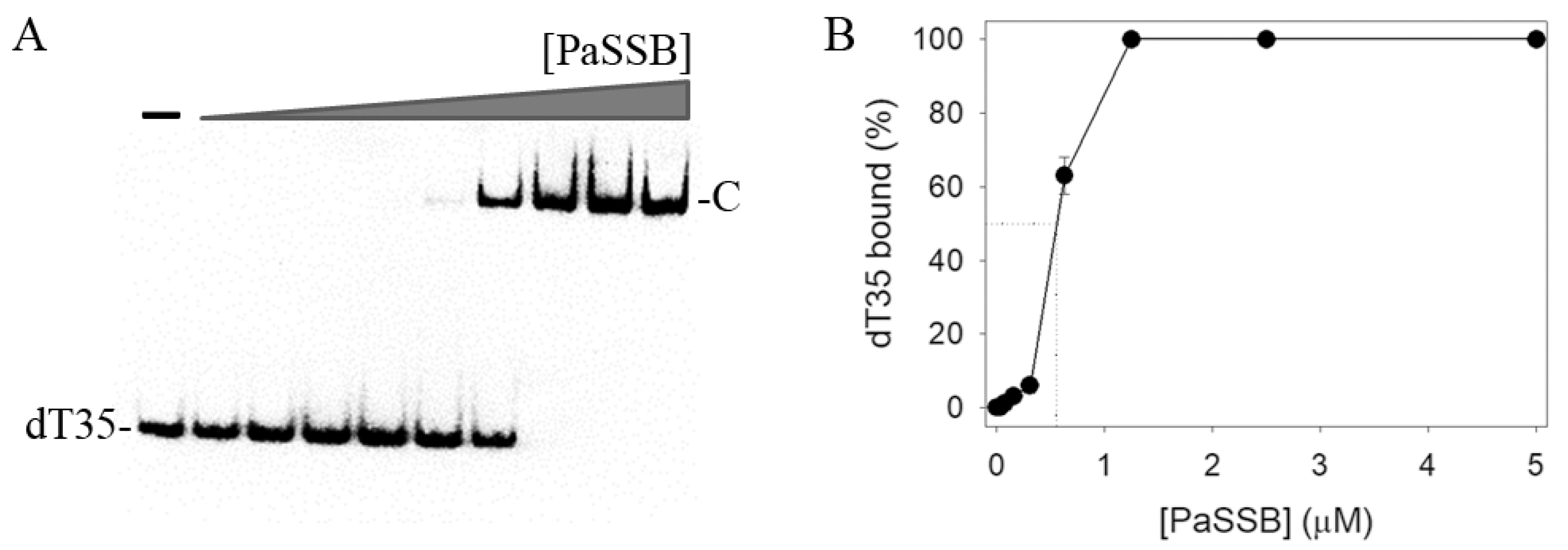 Ijms 23 00588 g002 Ijms 23 00588 g002