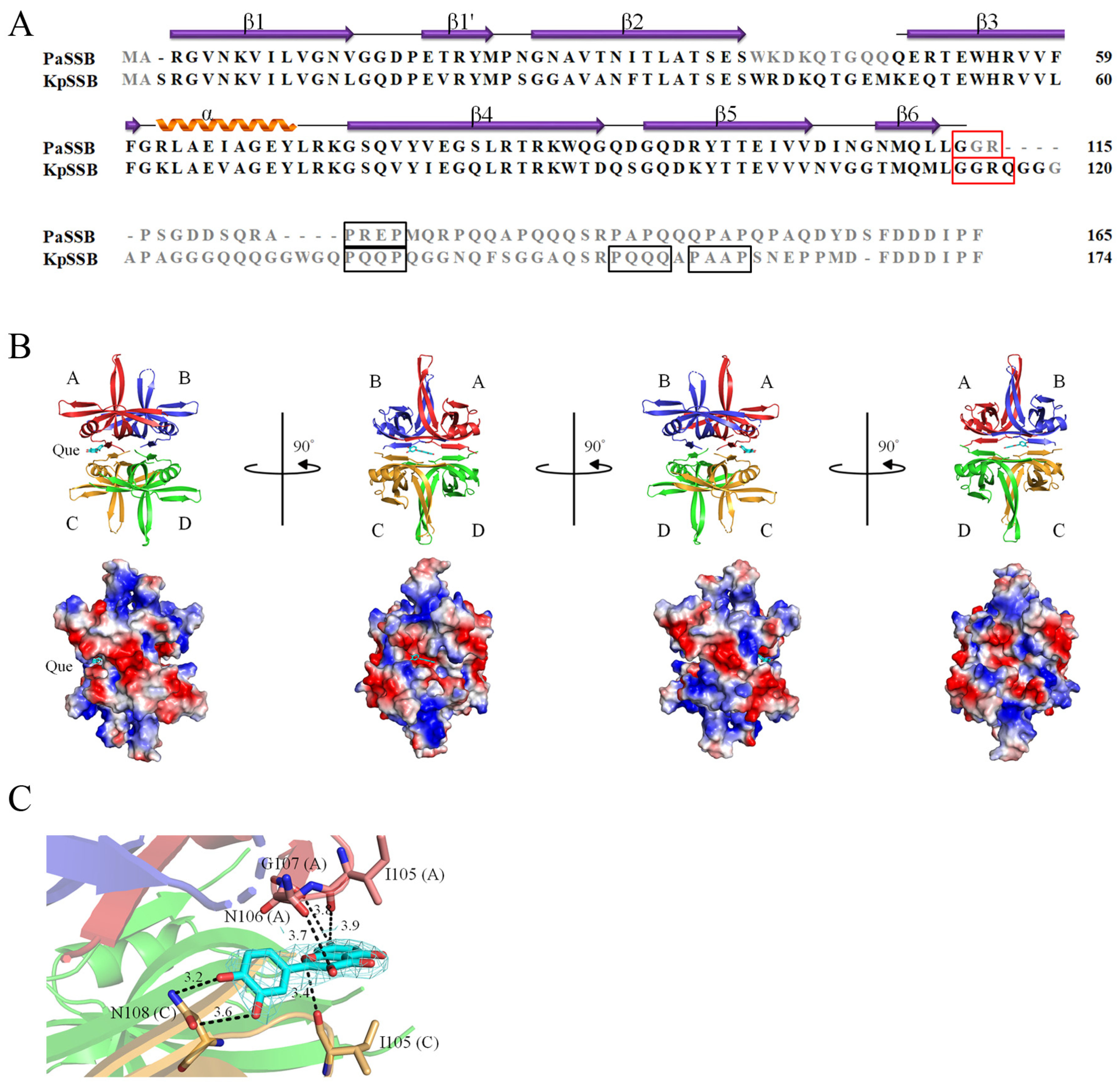 Ijms 23 00588 g004 Ijms 23 00588 g004