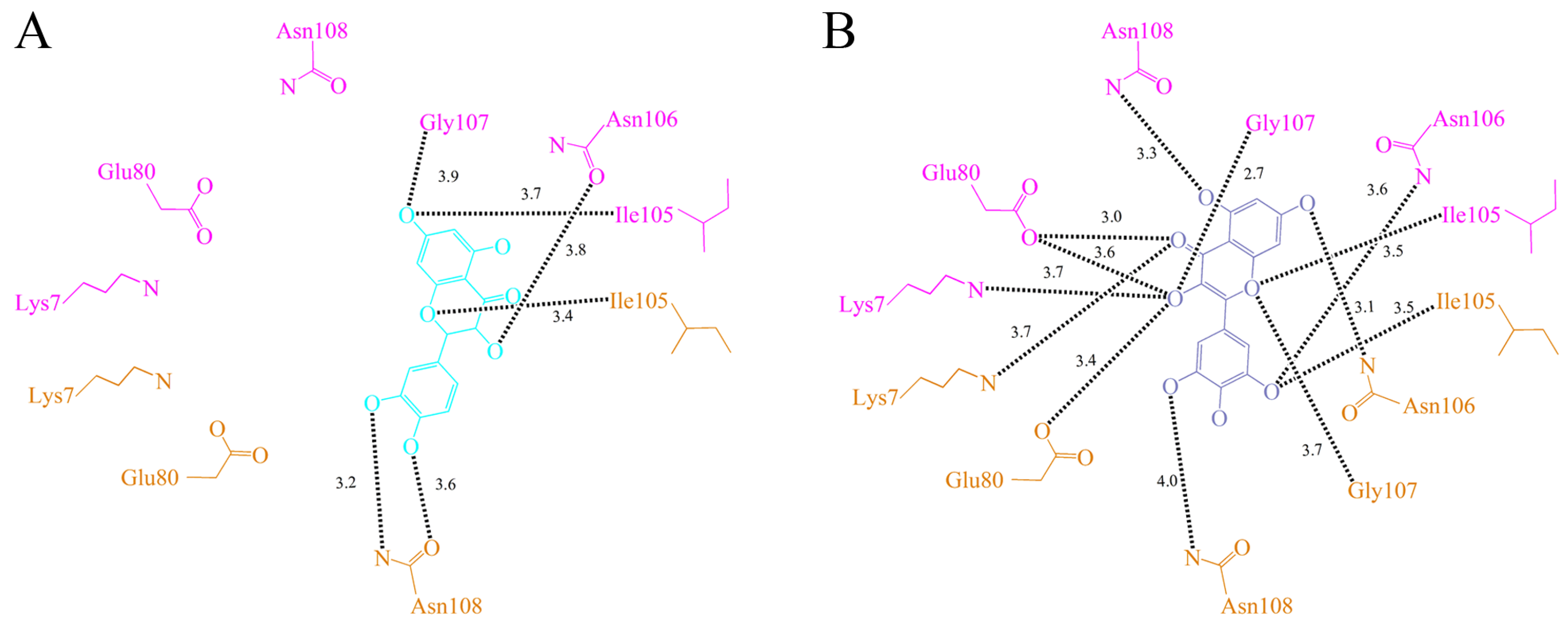 Ijms 23 00588 g005 Ijms 23 00588 g005