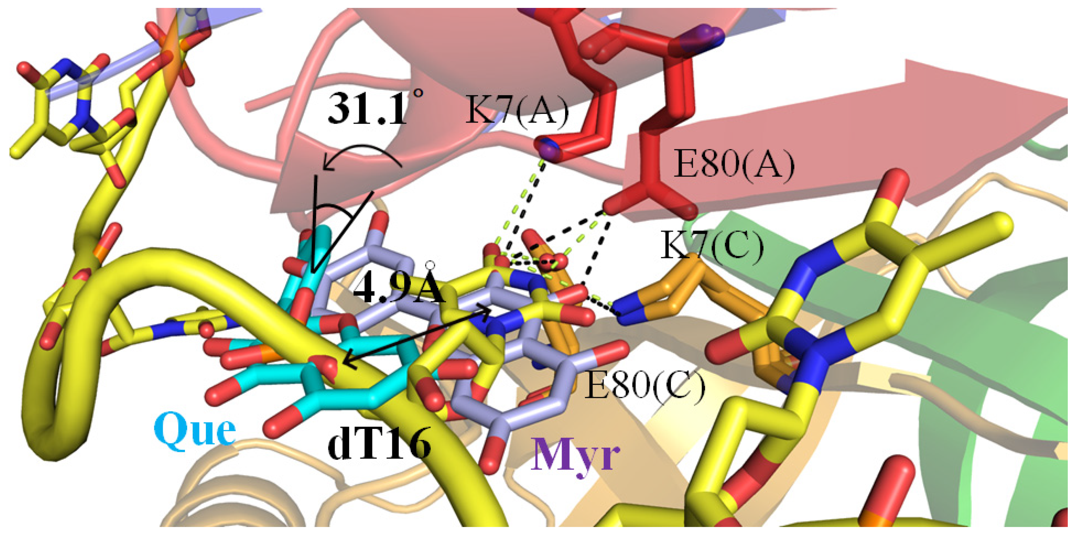 Ijms 23 00588 g006 Ijms 23 00588 g006