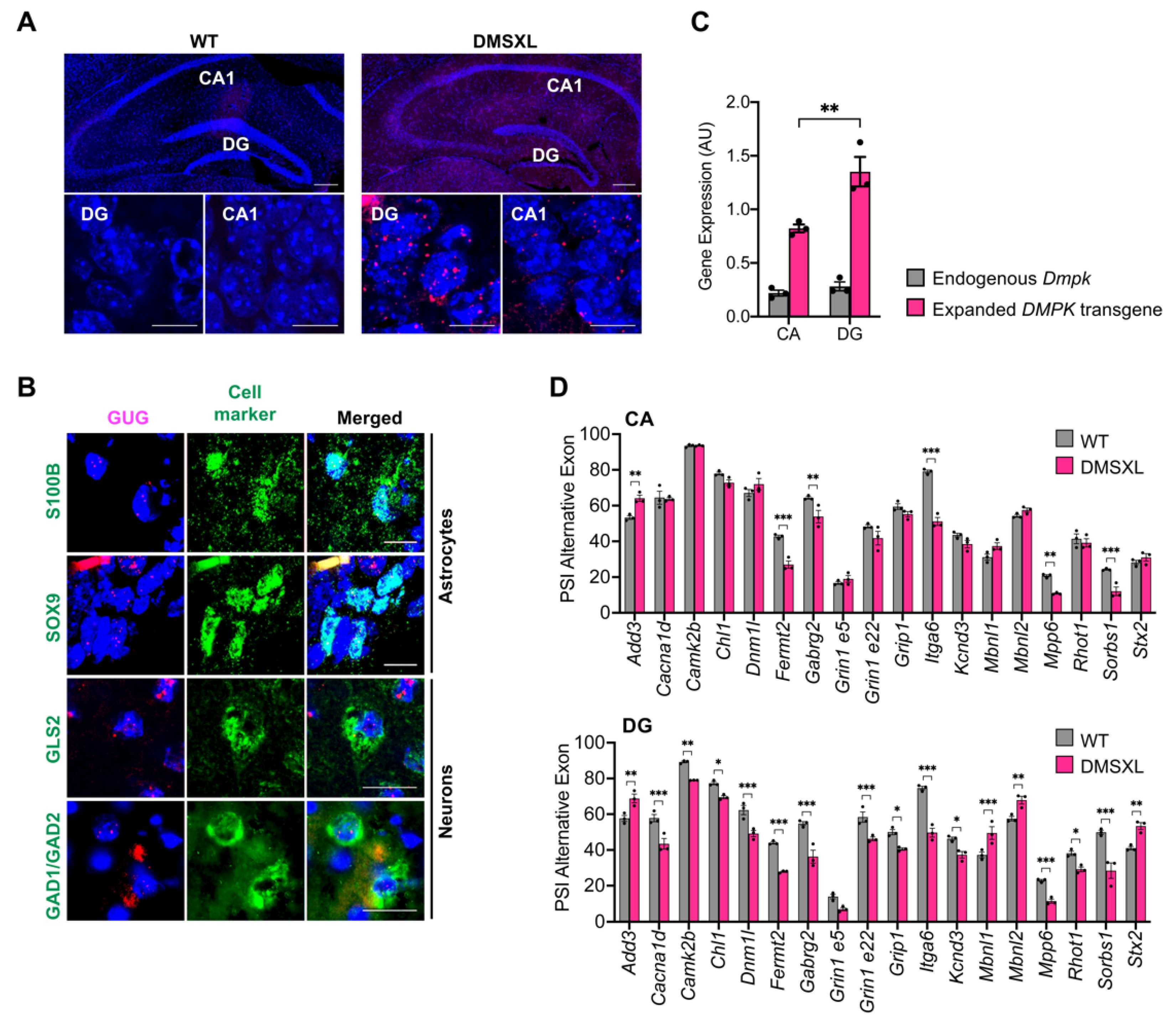 Ijms 23 00592 g007 Ijms 23 00592 g007