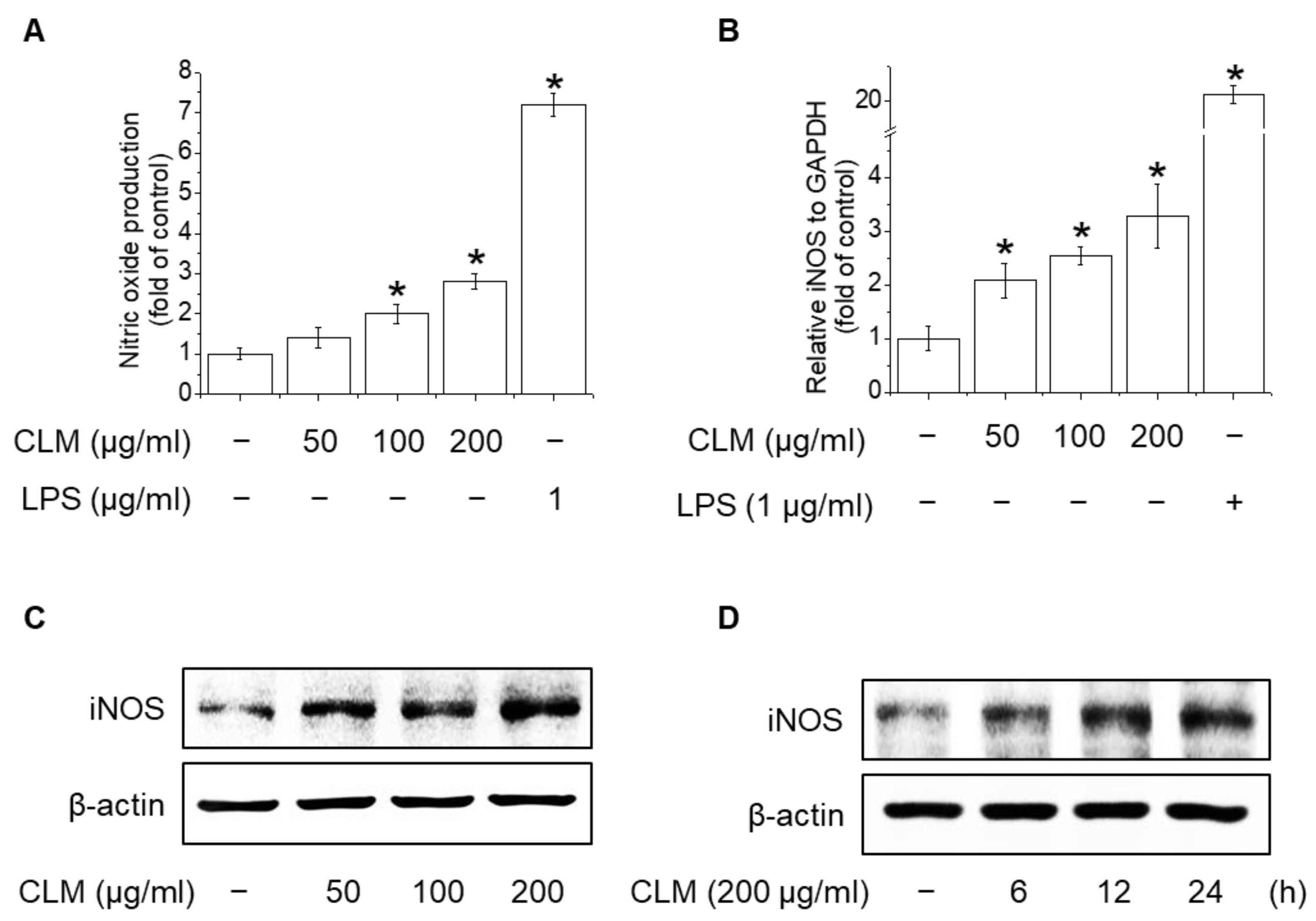Ijms 23 00597 g006 Ijms 23 00597 g006