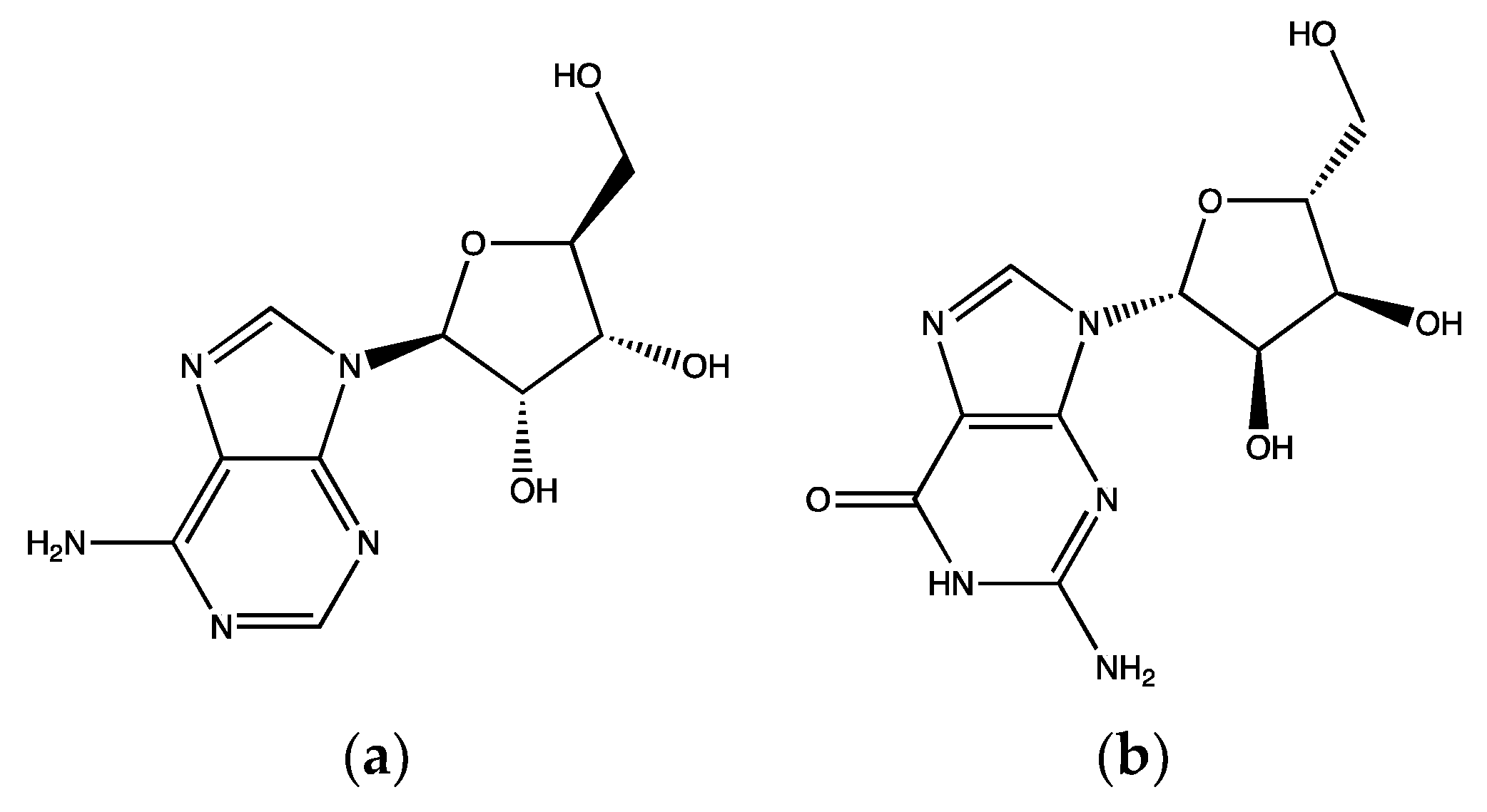 Ijms 23 00605 g009 Ijms 23 00605 g009